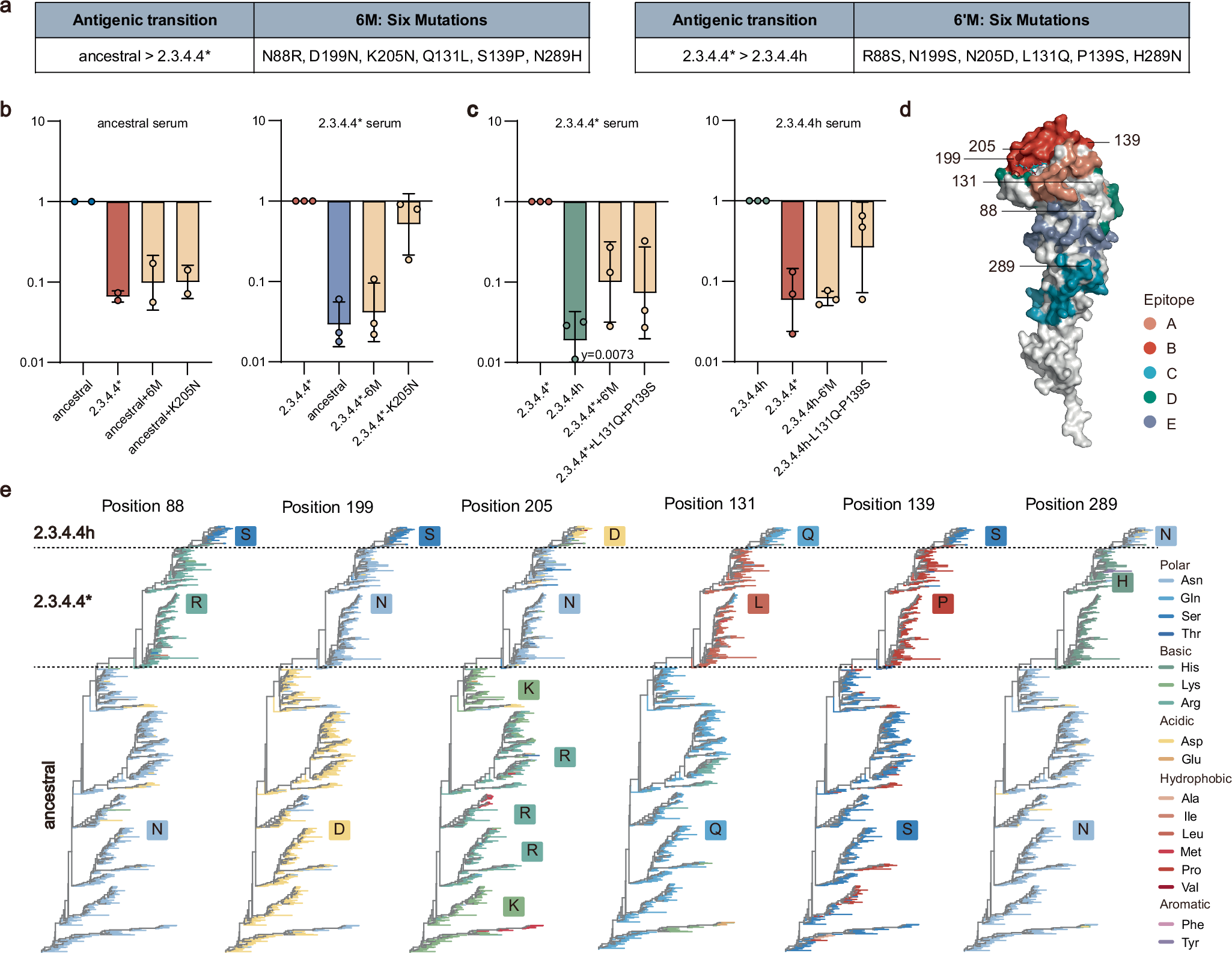 Fig. 3: Key amino acid substitutions driving transitions between adjacent antigenic clusters of H5.
