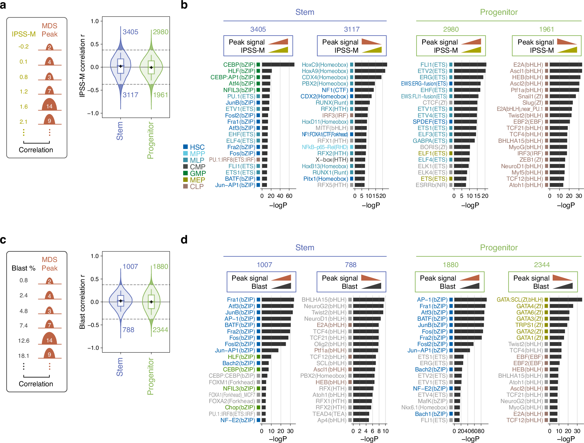 Fig. 4: Chromatin accessibility reveals transcriptional networks associated with MDS prognosis.