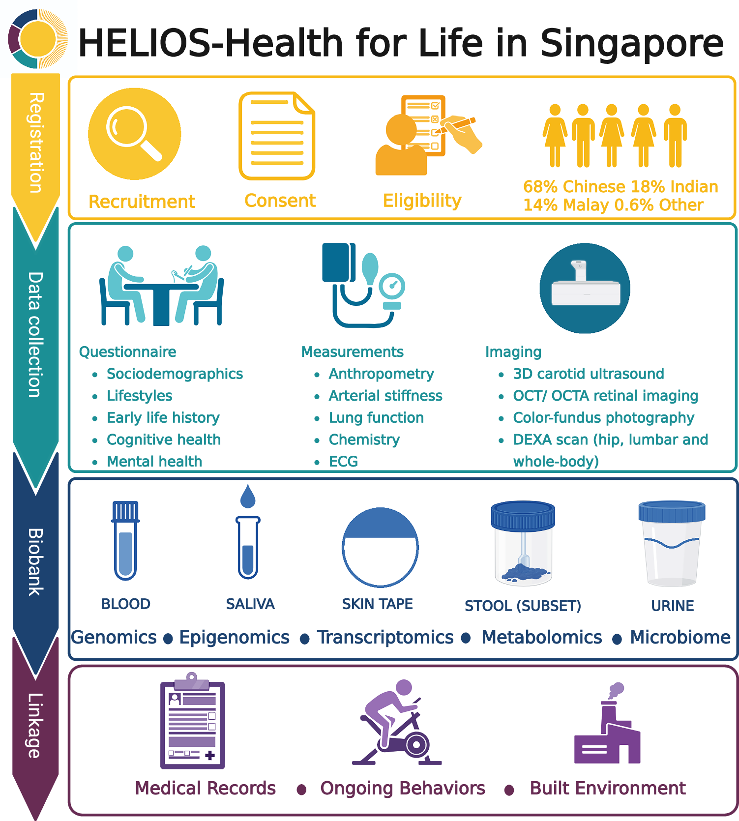 The Health for Life in Singapore (HELIOS) Study: delivering precision  medicine research for Asian populations | Nature Communications
