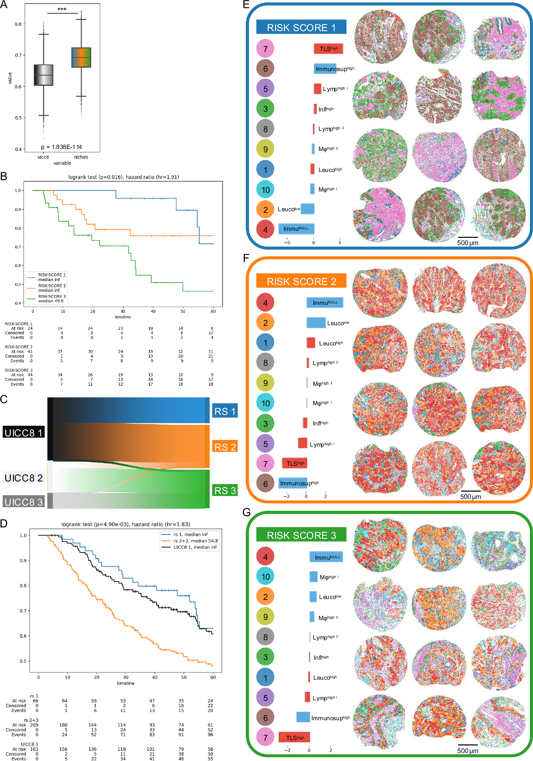 Fig. 7: Survival prediction and risk scores in LUSC.