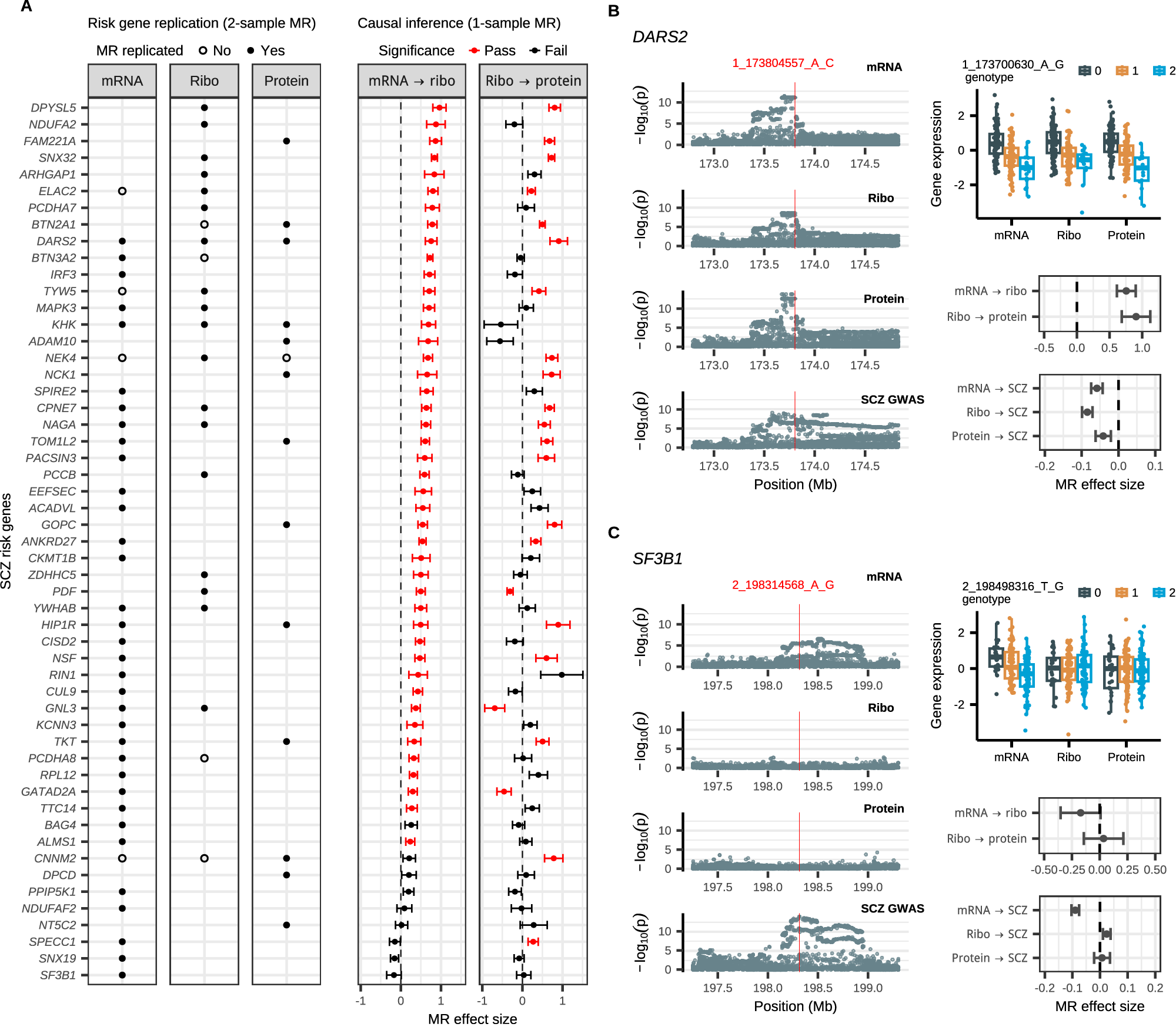 Fig. 4: Identifying driver regulatory mechanisms for SCZ risk genes using Mendelian Randomization (MR).