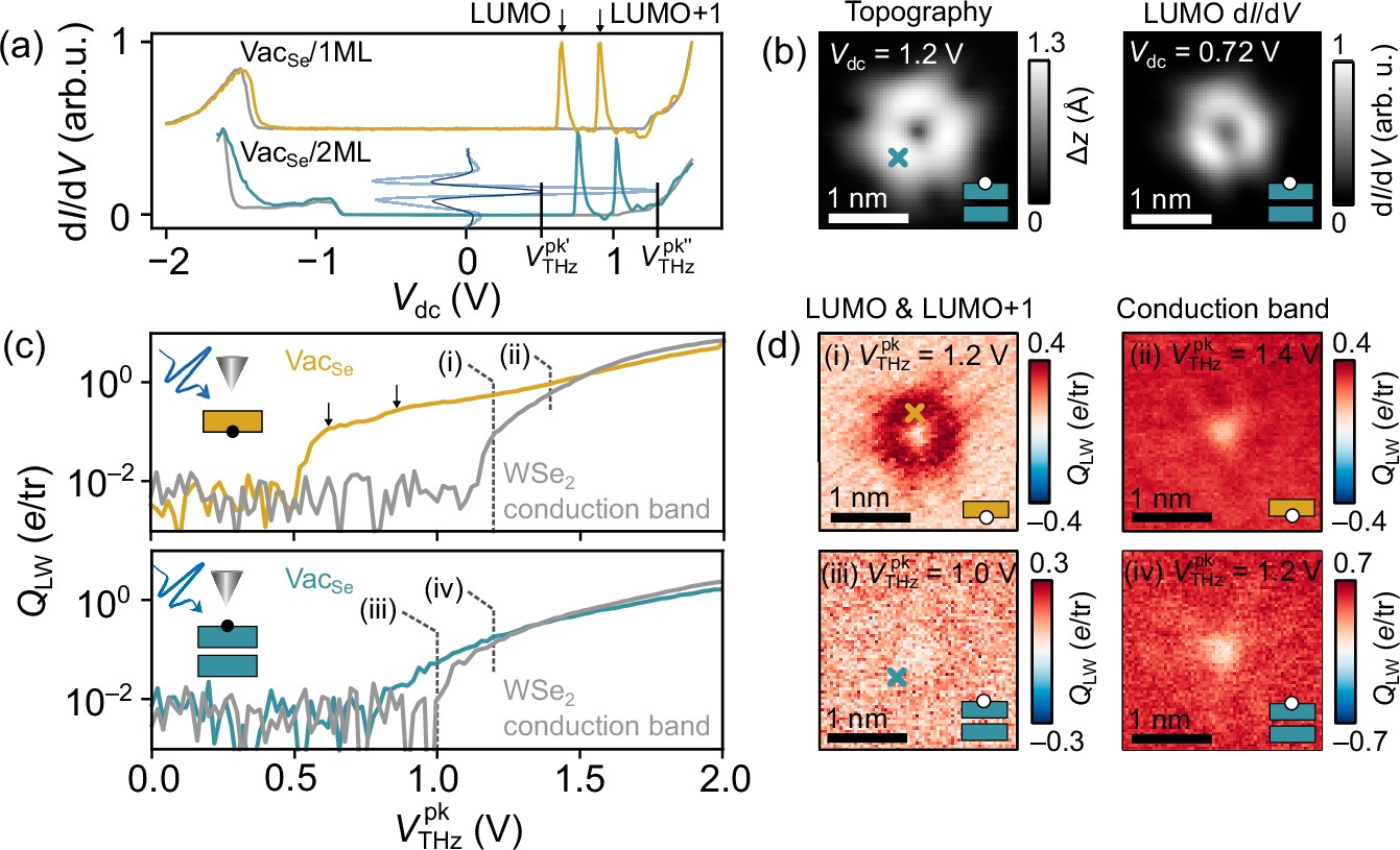 Fig. 2: VacSe defect states accessed via ultrafast LW-STS and LW-STM.