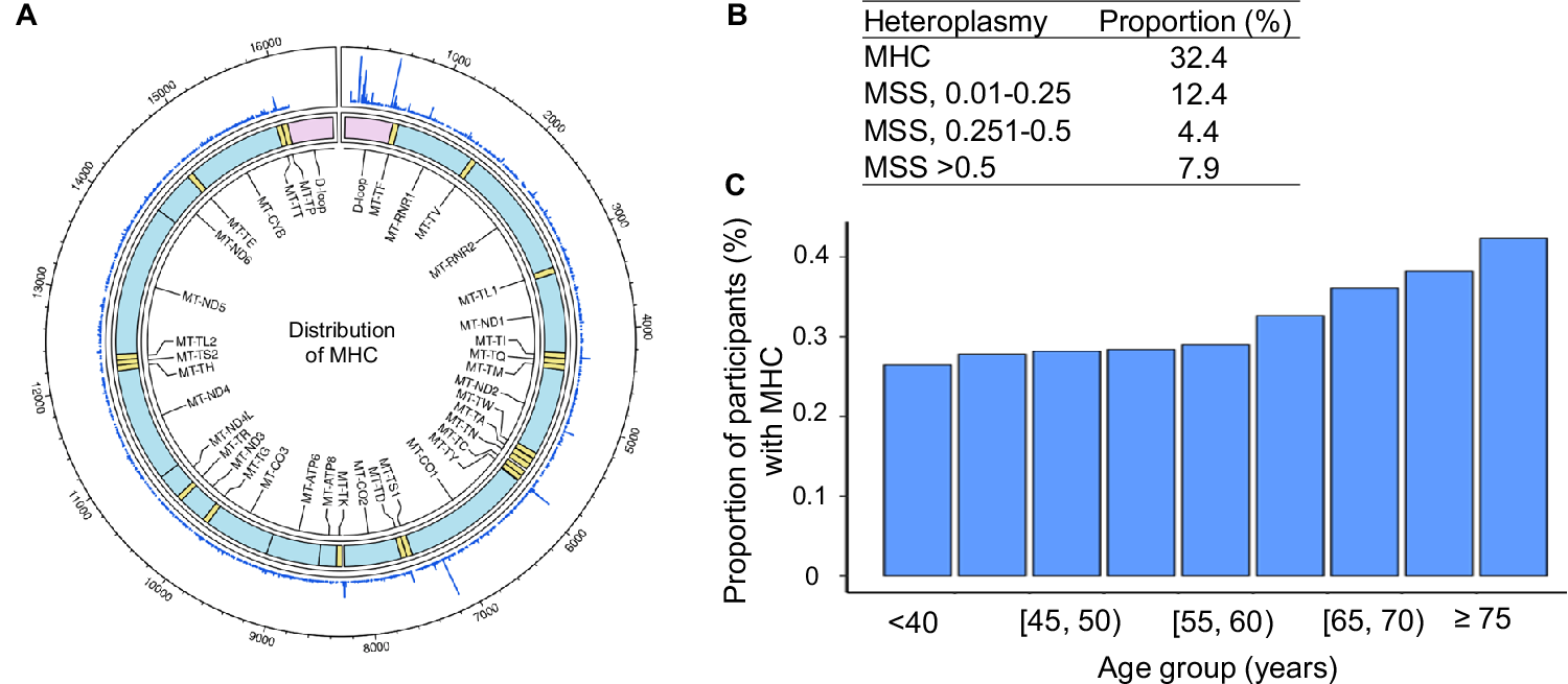 Fig. 2: Distribution of heteroplasmy.