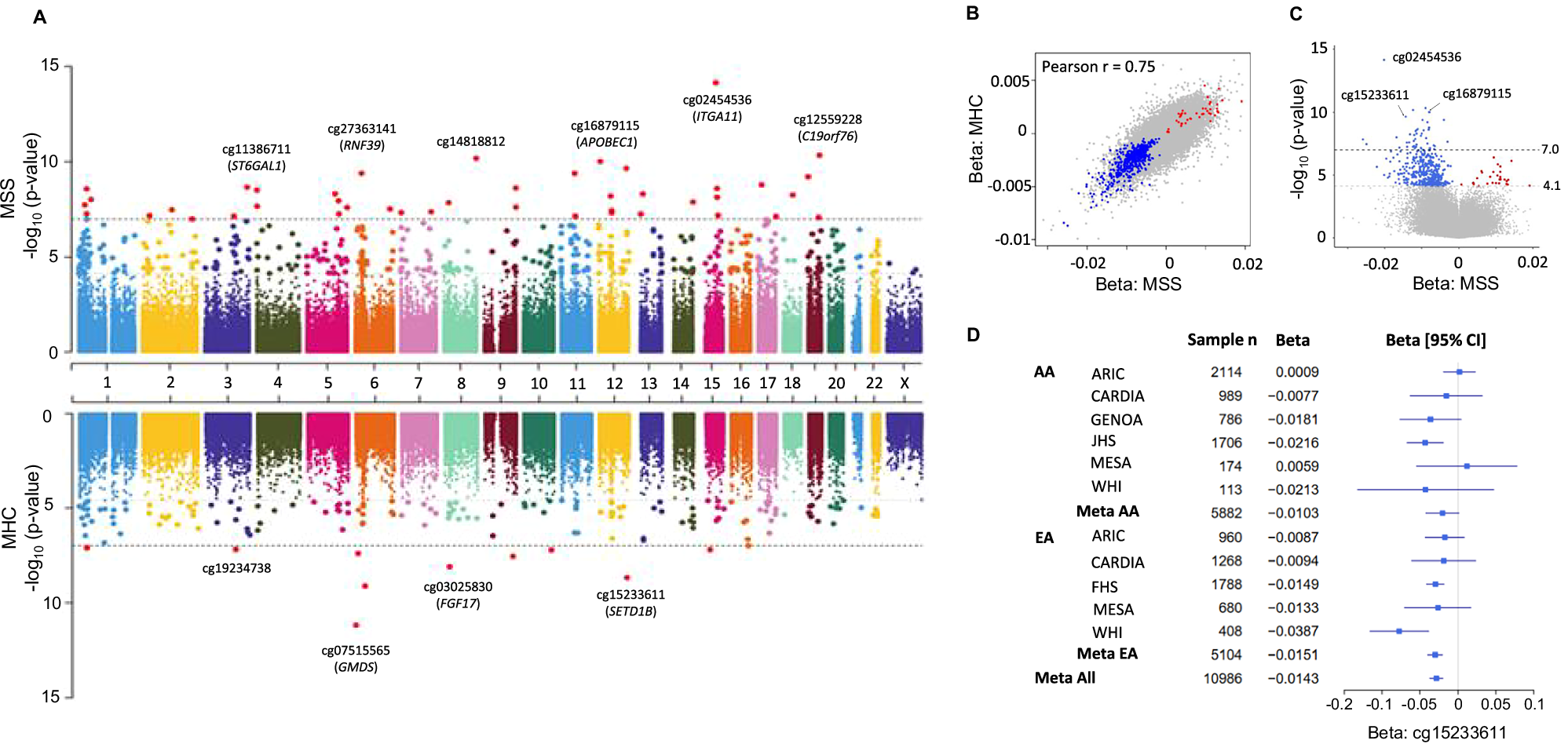 Fig. 3: Association and meta-analyses of mtDNA heteroplasmy with DNA methylation.