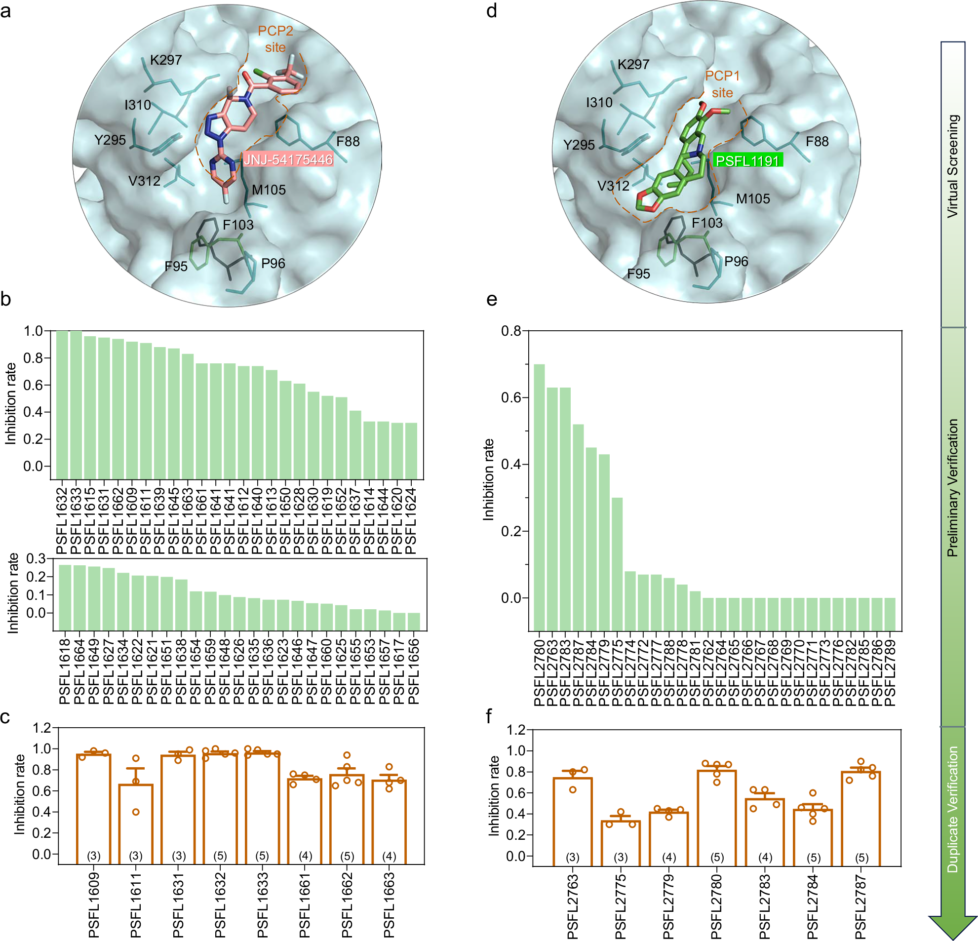 Fig. 6: Screening of P2X7 inhibitors based on PCP recognition mechanisms to assess species-specific differences.