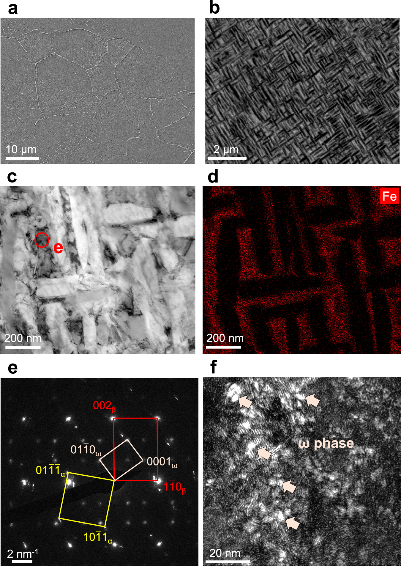 Fig. 2: Microstructure of Ti-0.45O-4Fe alloy after PBF-LB.