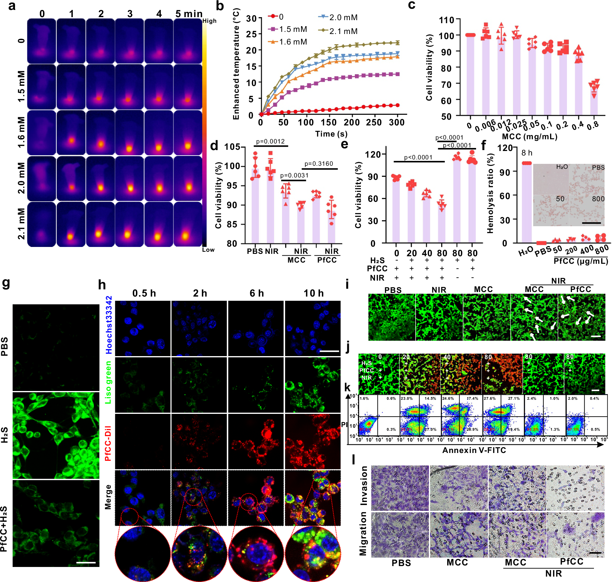 Fig. 3: Assessment of probe targeting and therapeutic efficacy at the cellular level.