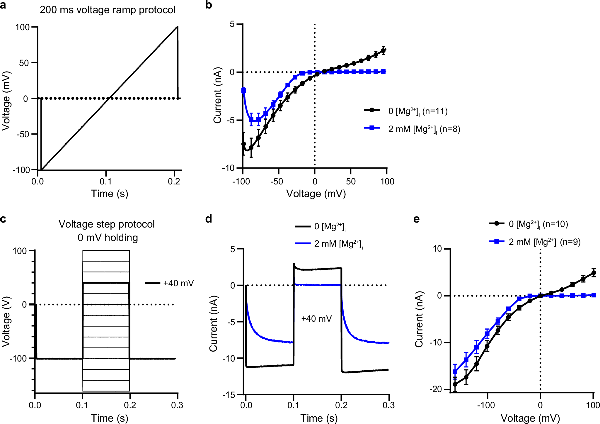 Fig. 1: hTRPV6 function at different concentrations of intracellular Mg2+.