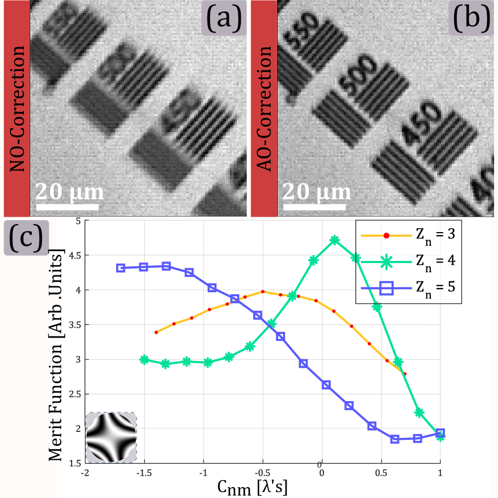 Fig. 6: Wavefront sensor-less method performance.