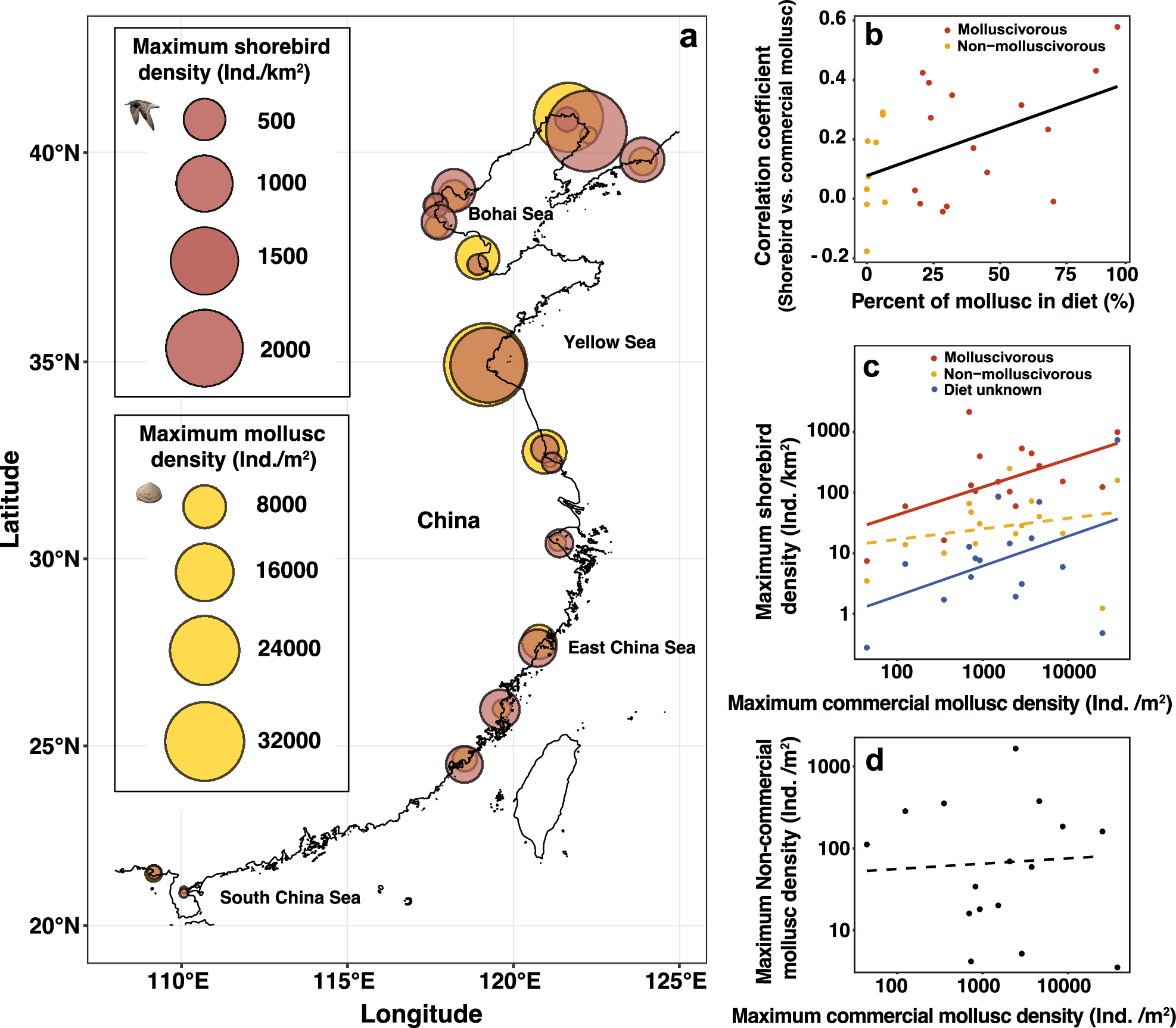 Fig. 3: The relationship between the maximum density of molluscs and shorebirds across survey years (Supplementary Data 1, noting that years surveyed varied across sites) along the Chinese coast.