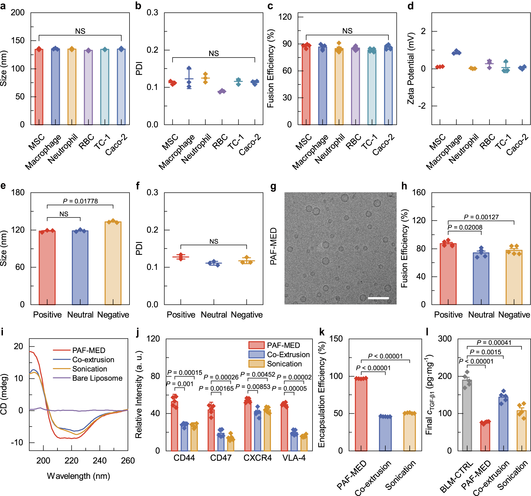 Fig. 4: Compatibility and Characterization of cLNPs Prepared by PAF-MED.