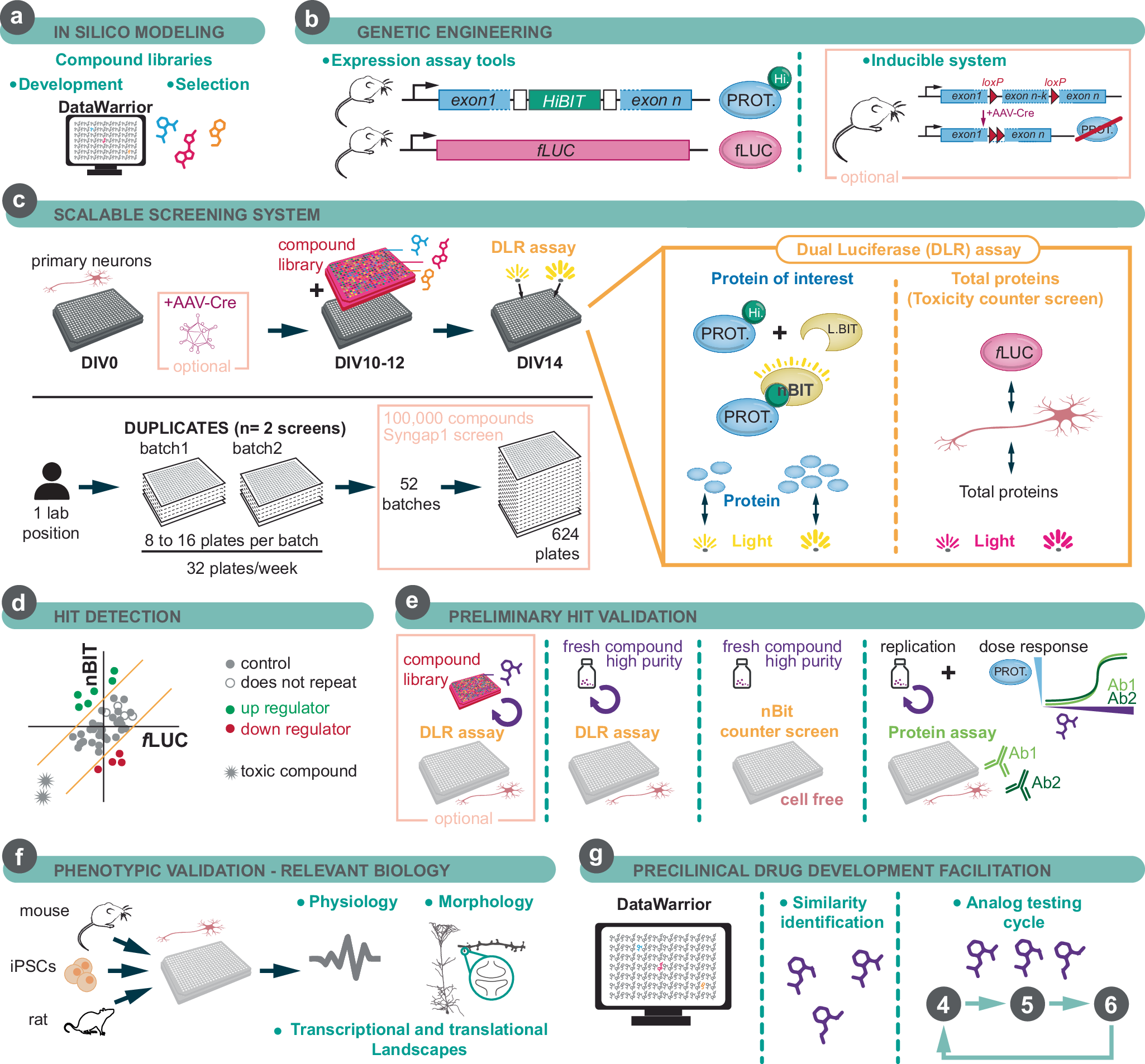 Fig. 1: Overview of Endo-GeneScreen (EGS) Platform.