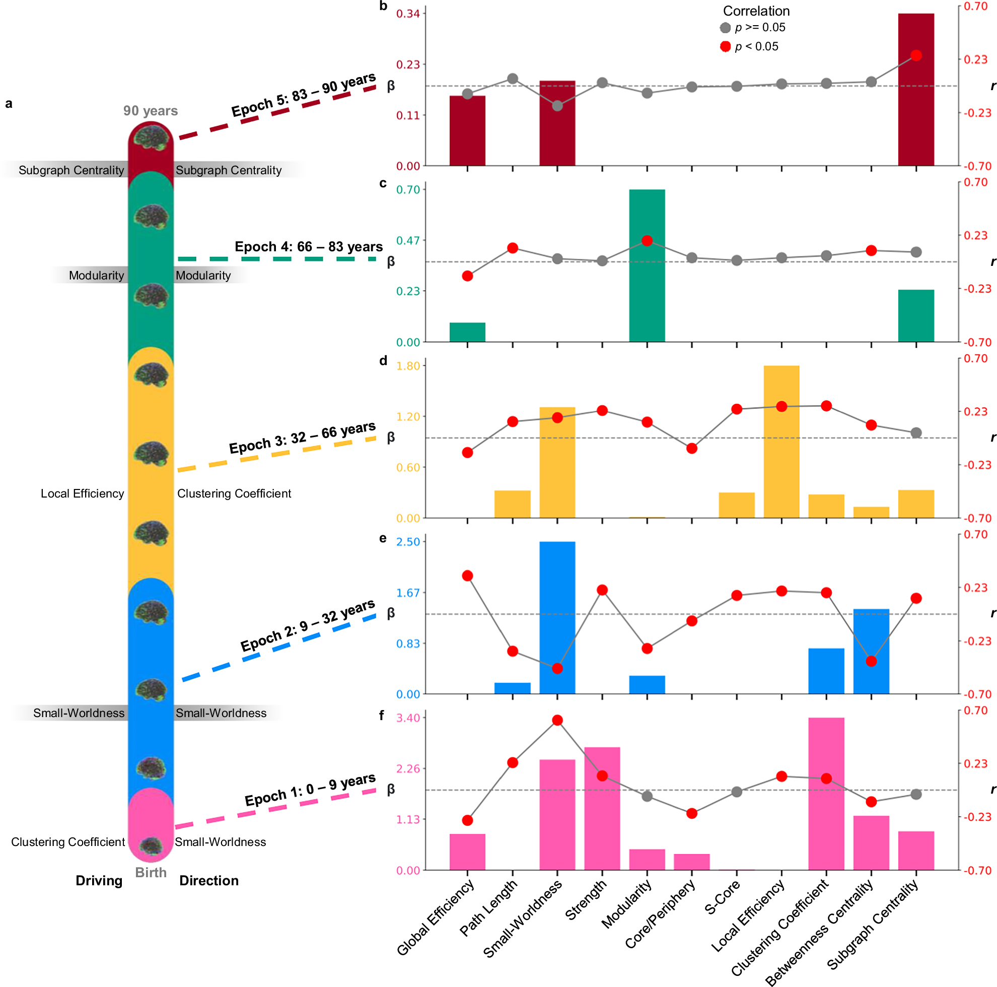 Fig. 5: Topological changes within the five topological epochs of life.