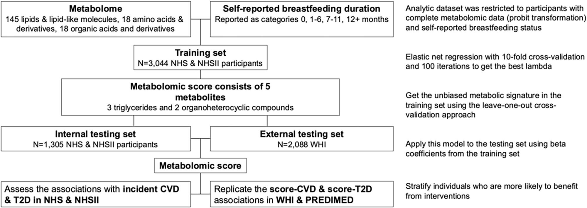 Fig. 1: Flowchart of inclusion and metabolomic score derivation methodology.