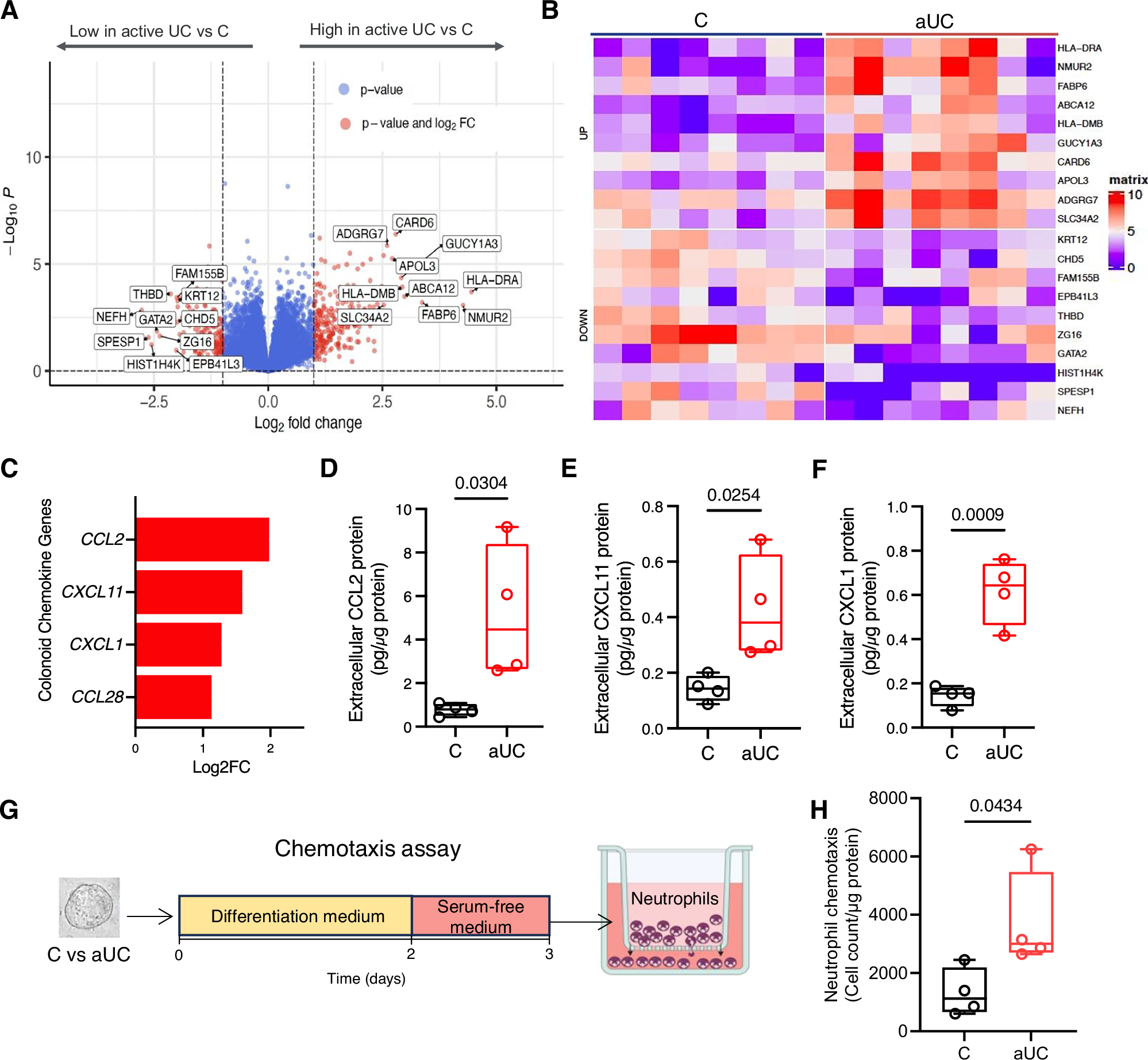 Fig. 2: Distinct transcriptome in epithelial colonoids from active UC pediatric patients.