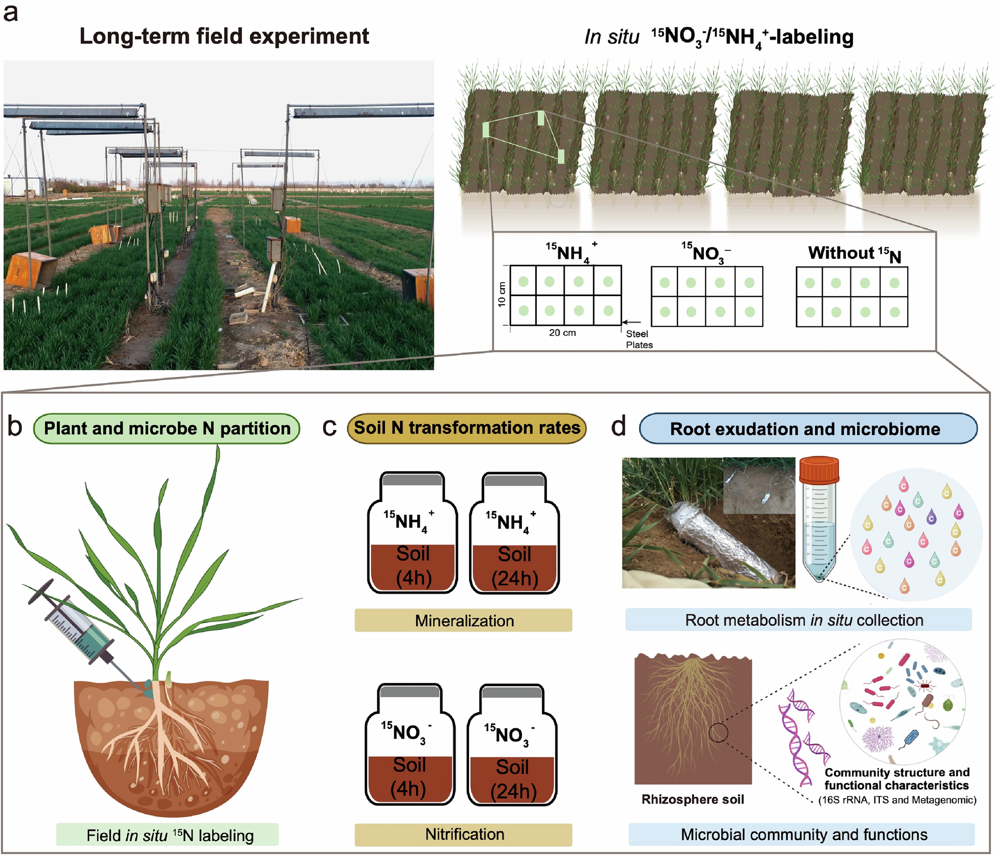 Fig. 1: Field experimental design.