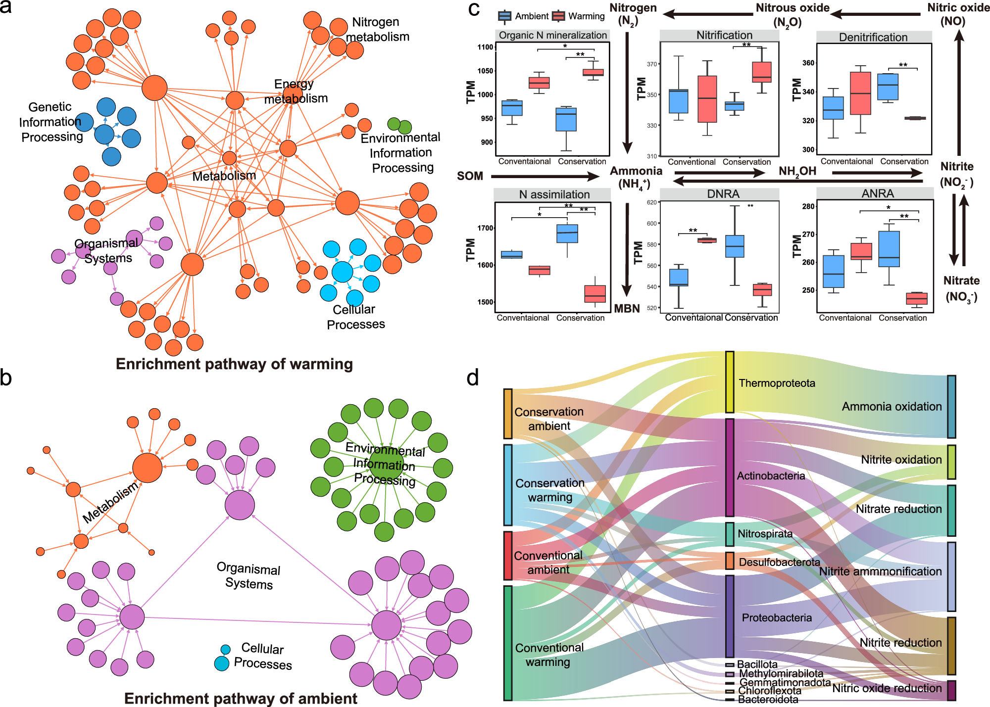 Fig. 5: Effects of management and warming on wheat rhizosphere microbial functional profiles.