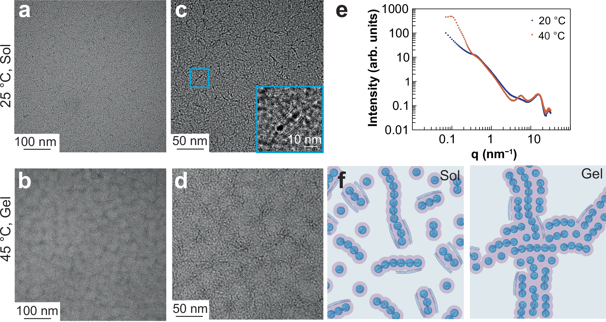 Fig. 3: Characterizing the microstructure and gelation mechanism of the PEDOT:PSS96-b-PNIPAM440 TR-CP (PSS:PEDOT molar ratio = 3.5:1).