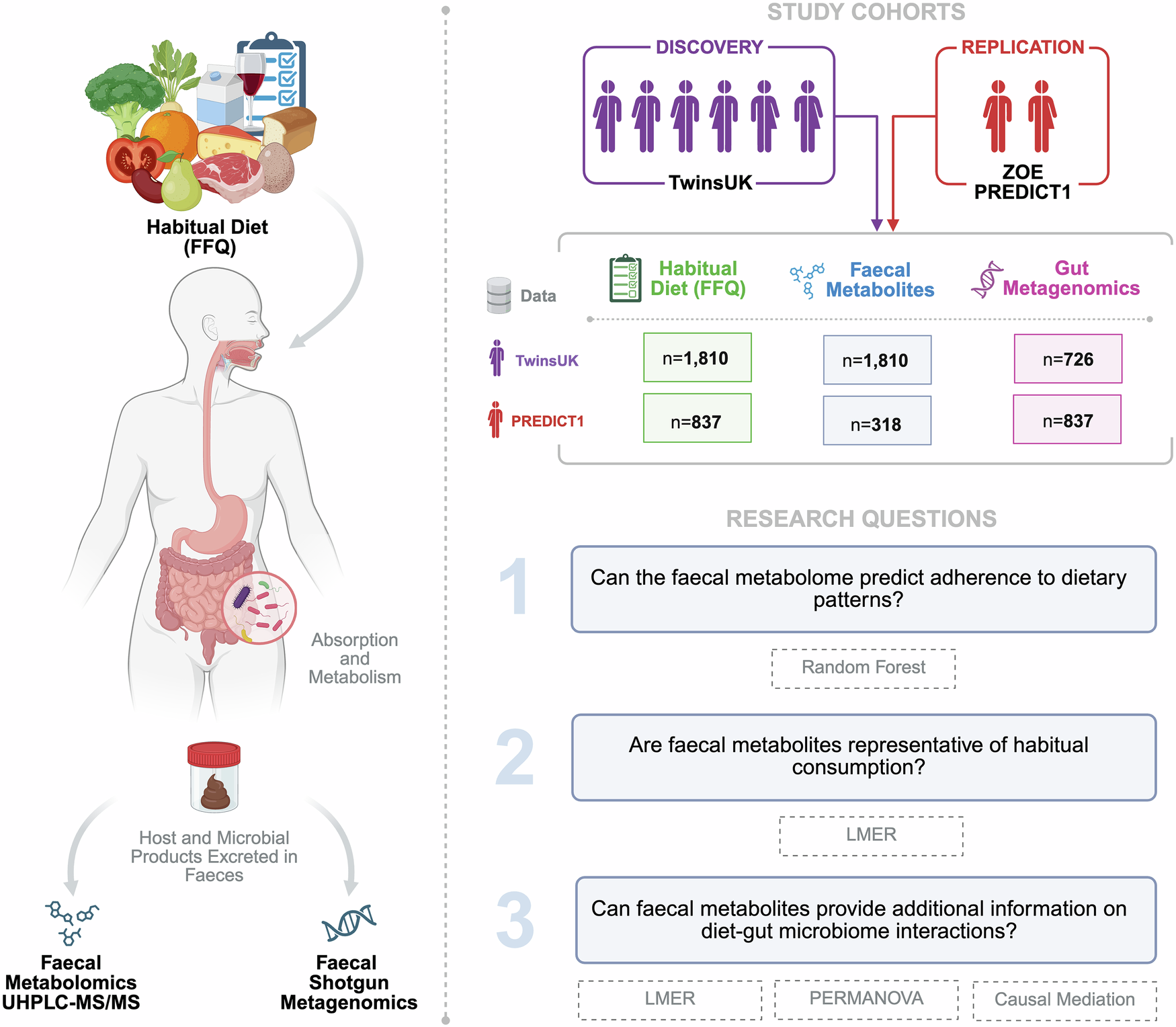 l carnitine stool Supplementation with reduces the severity of constipation: a retrospective study of patients with severe motor and intellectual disabilities The carnitine shuttle. l-carnitine and