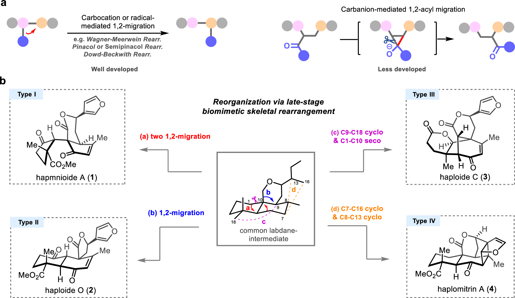 Fig. 1: Background and our synthesis plan of the structurally diverse Haplomitrium diterpenoids.