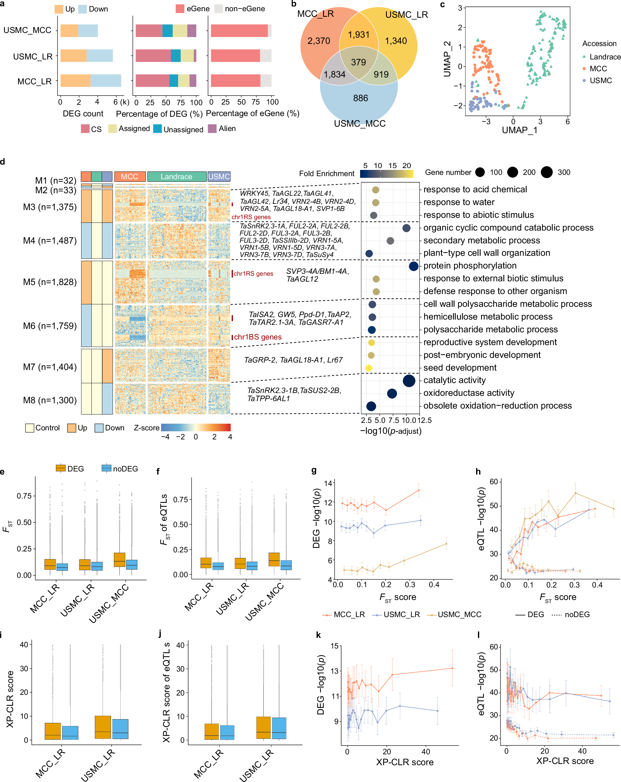 Fig. 6: The genome-wide impact of breeding selection on gene expression regulation.