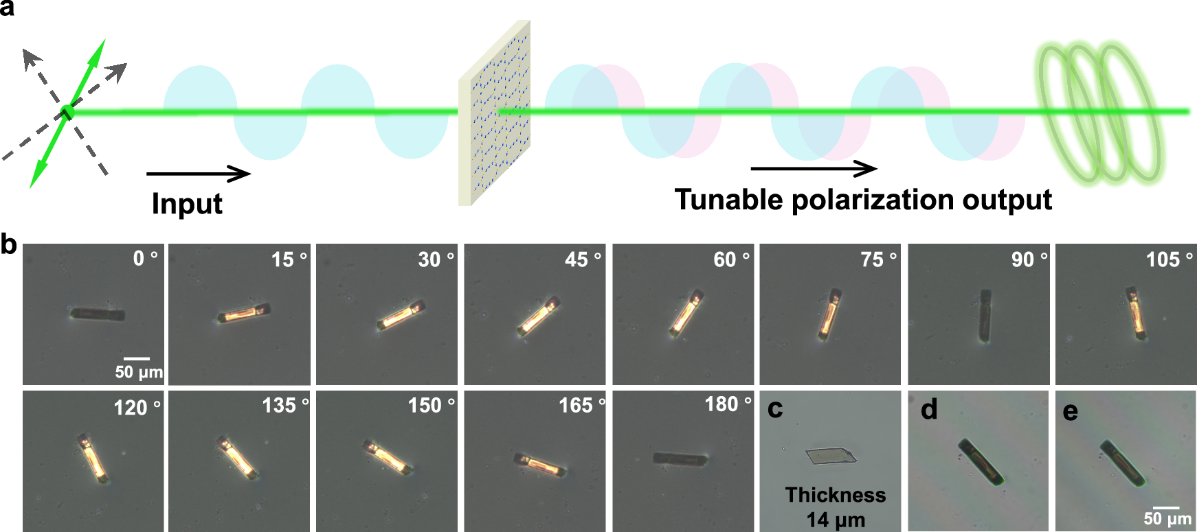 Fig. 3: Polarizing microscope-based birefringence characterization of Hg18Ga8Se8Cl32 (140 K).