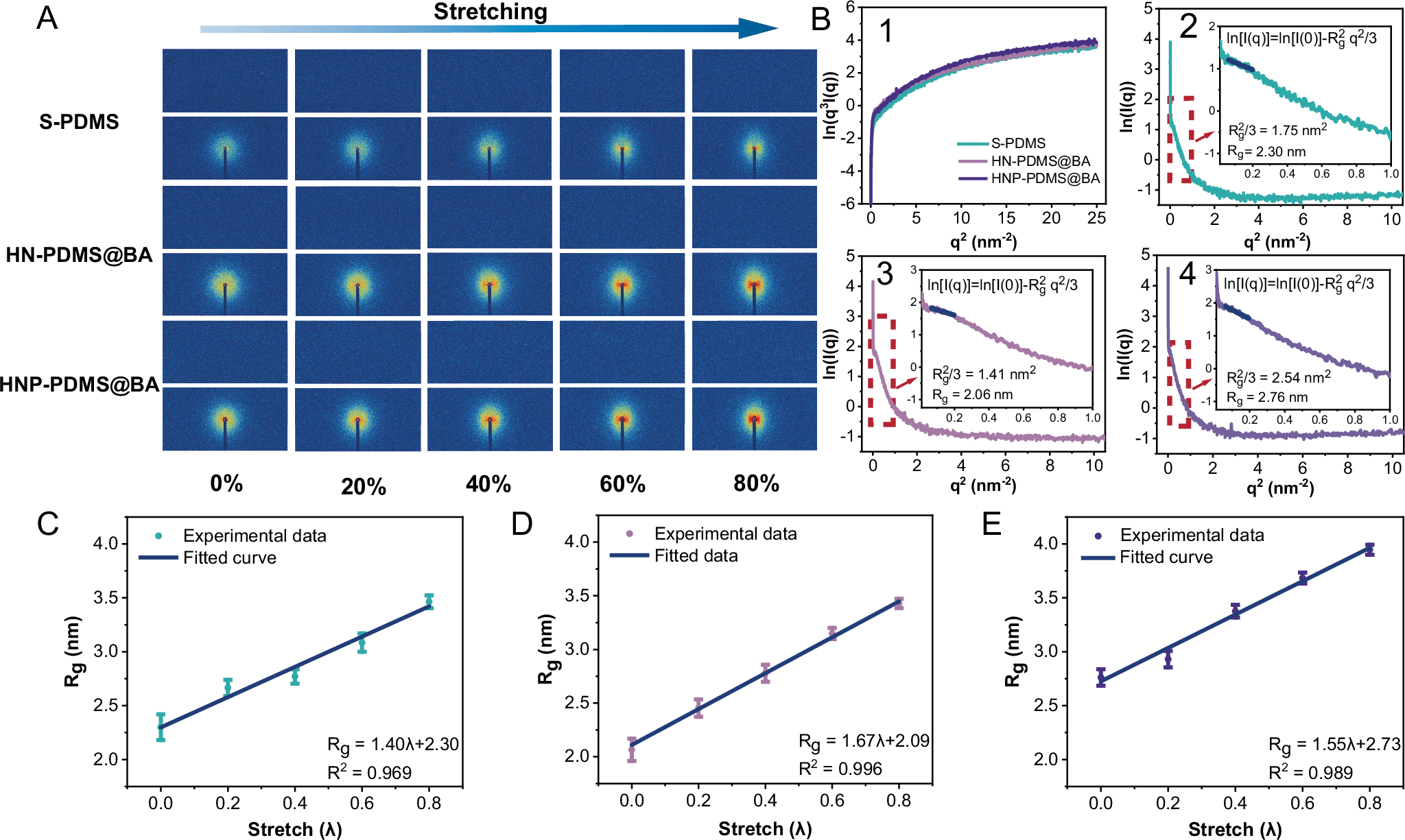 Fig. 3: SAXS analysis in situ stretching.