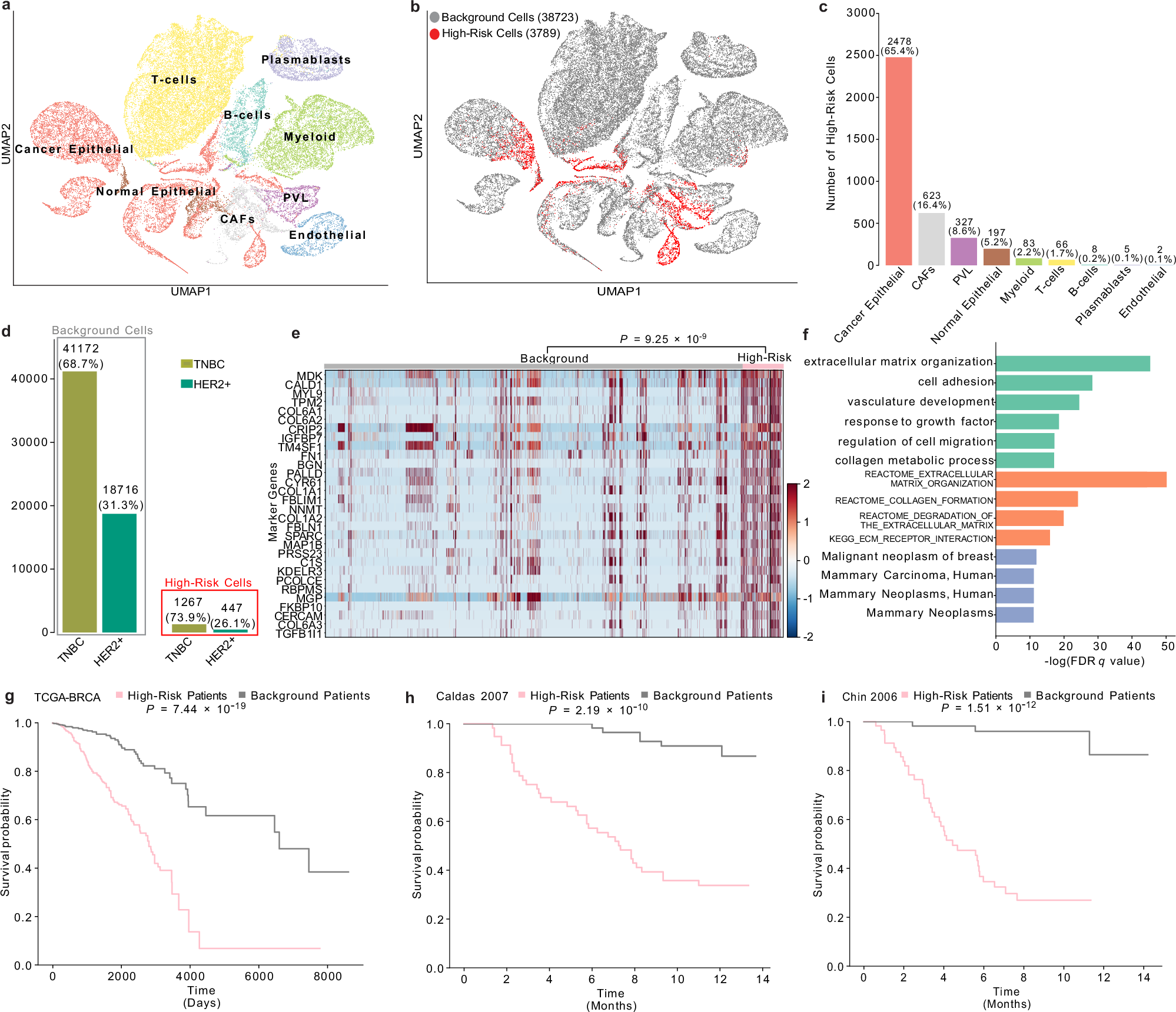 Fig. 3: SIDISH identifies high-risk cell populations in breast cancer subtype TNBC.