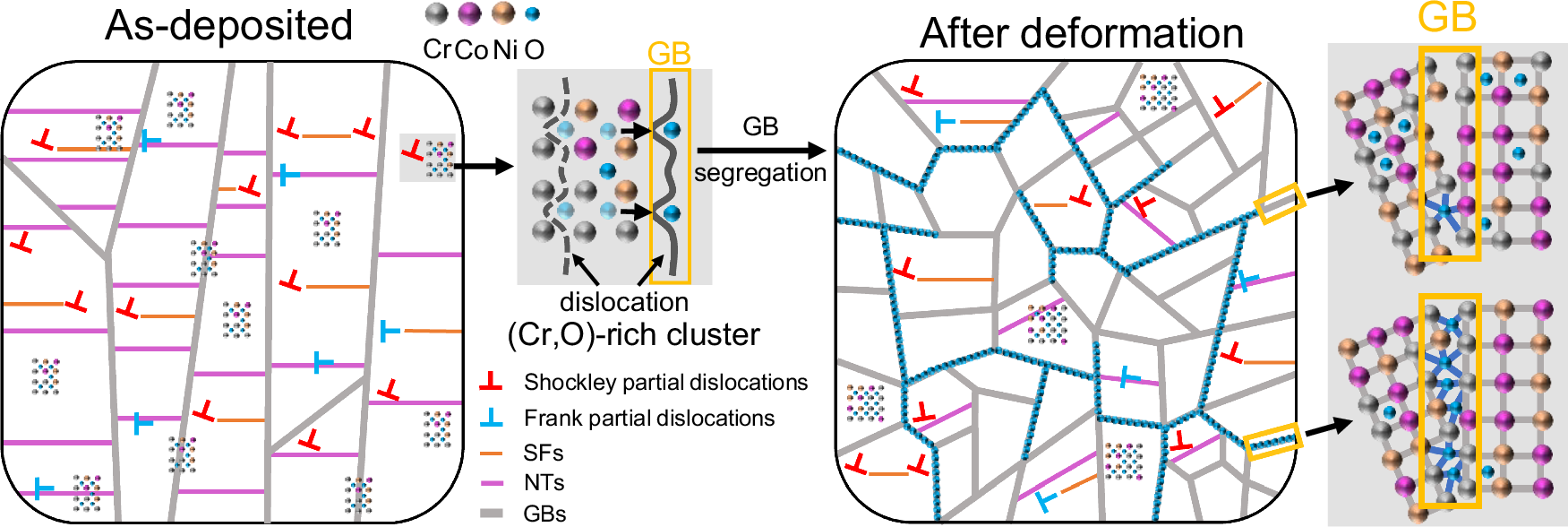 Fig. 6: Schematic diagram illustrating the oxygen redistribution dynamics in the CoCrNi-O MPEAs.