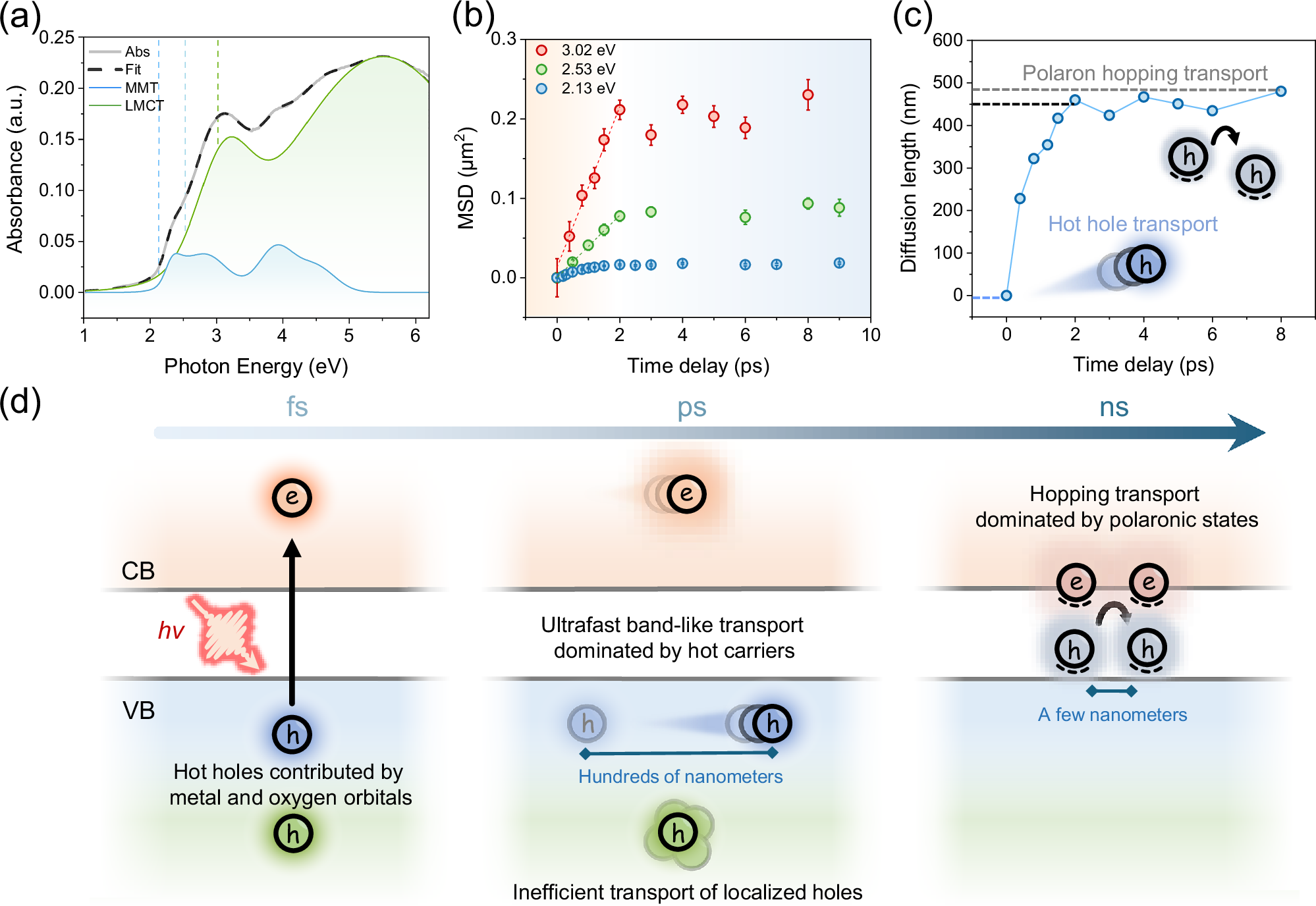 Fig. 4: Spatial dynamics of photogenerated holes in α-Fe2O3.