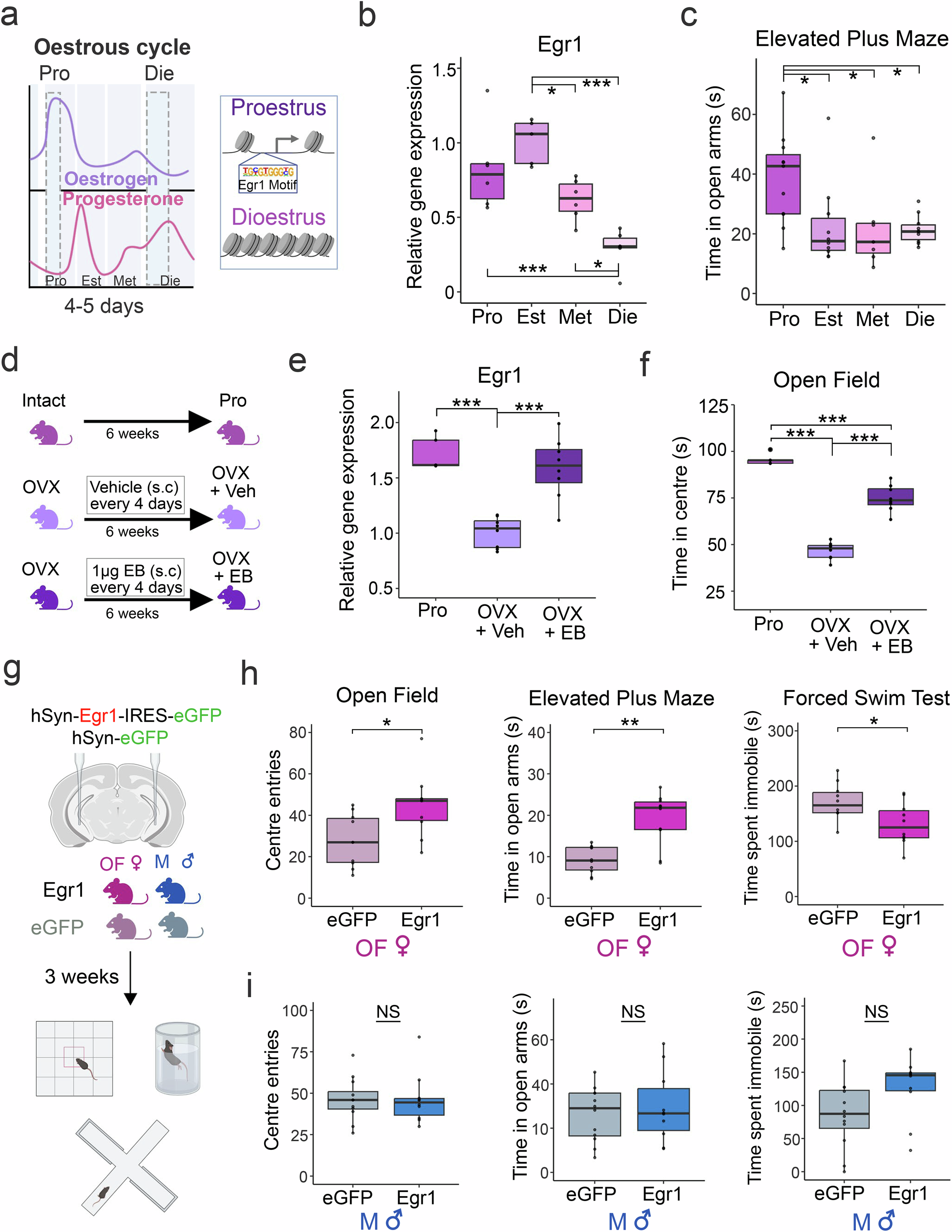 Fig. 1: Neuronal Egr1 expression drives sex-specific behaviours.