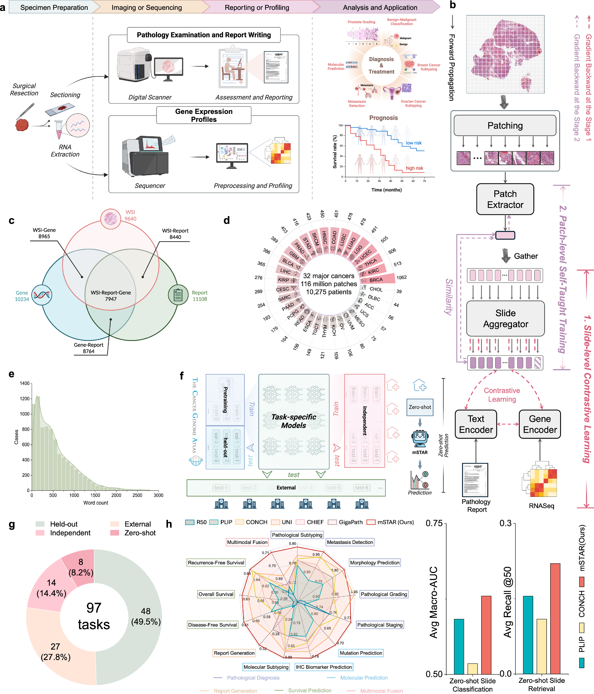 Fig. 1: Overview of the study.