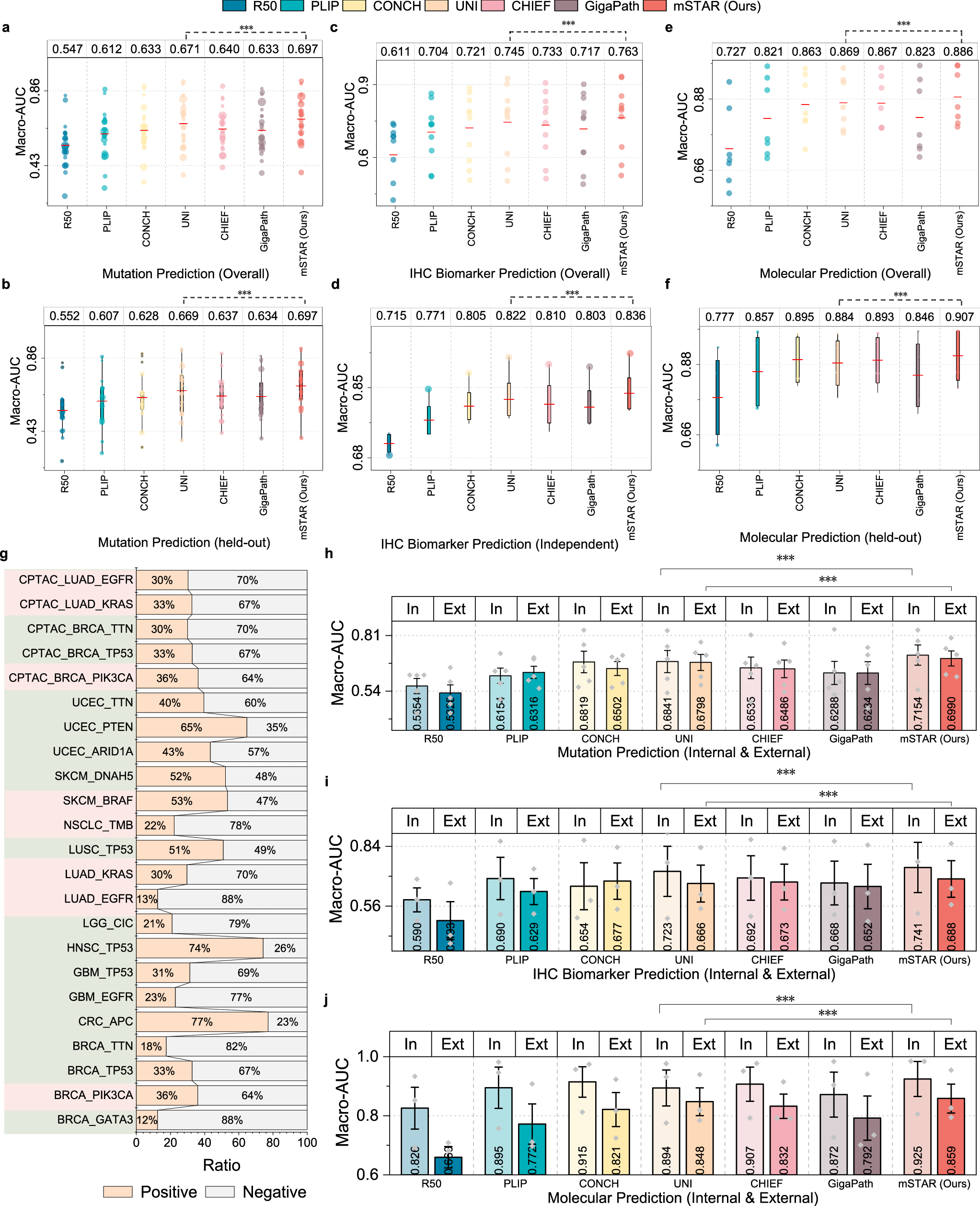Fig. 4: Performance of molecular prediction on 40 datasets across 10 cancer types.