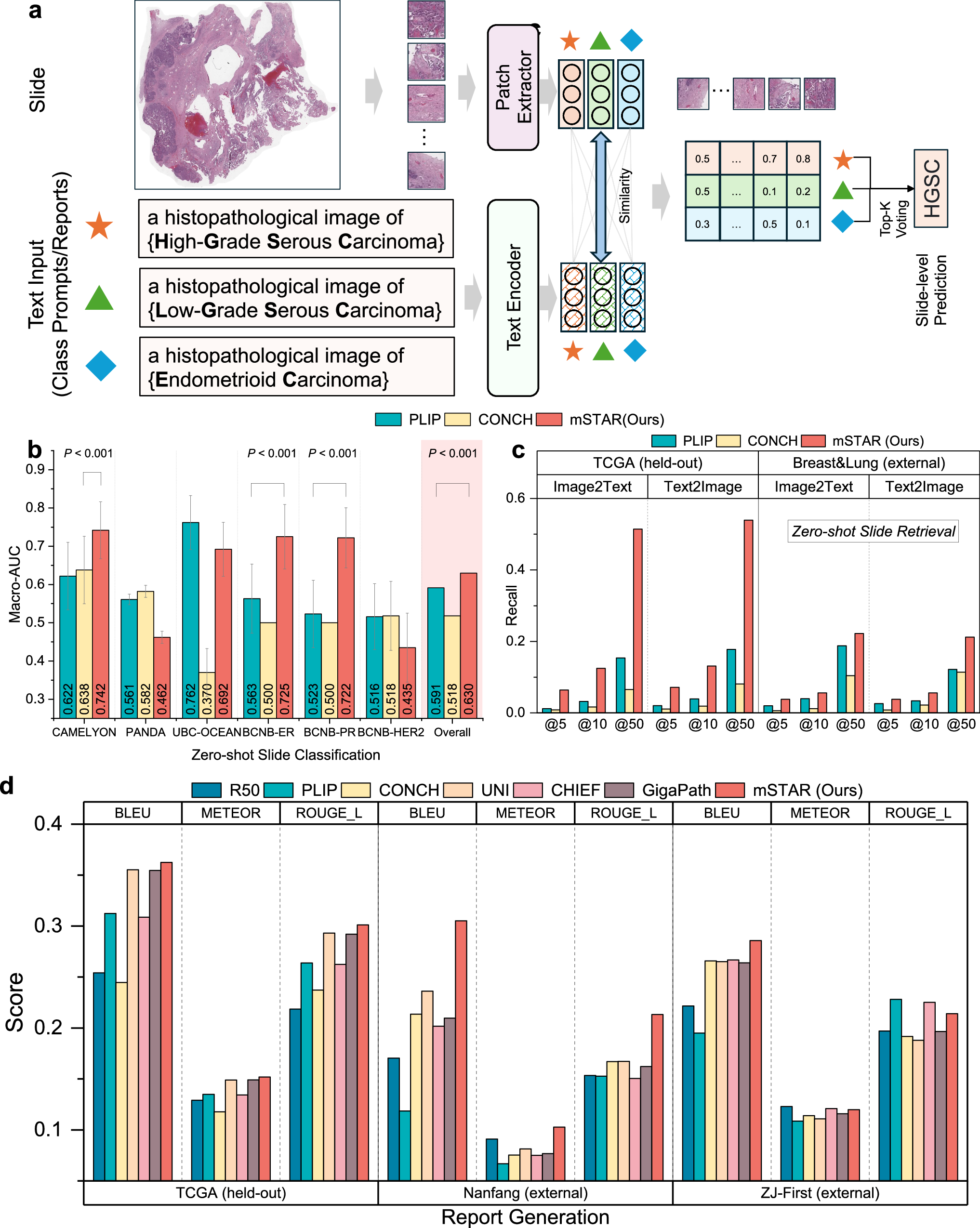 Fig. 5: Vision-language evaluation.