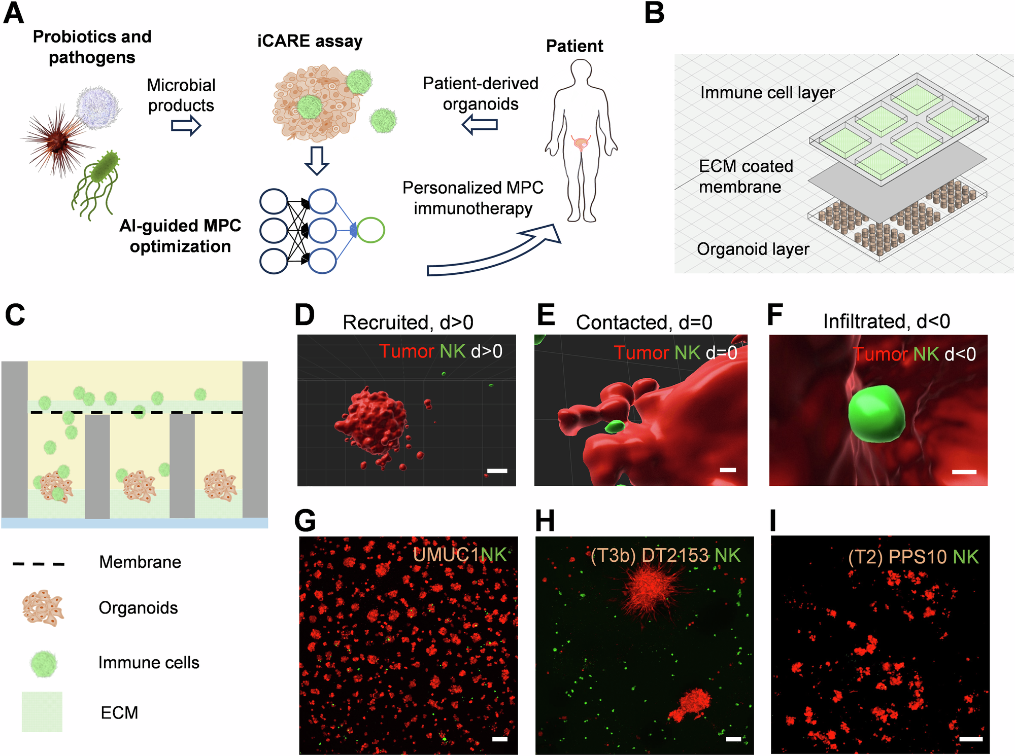Microbial Product Cocktails for Personalized Cancer Immunotherapy