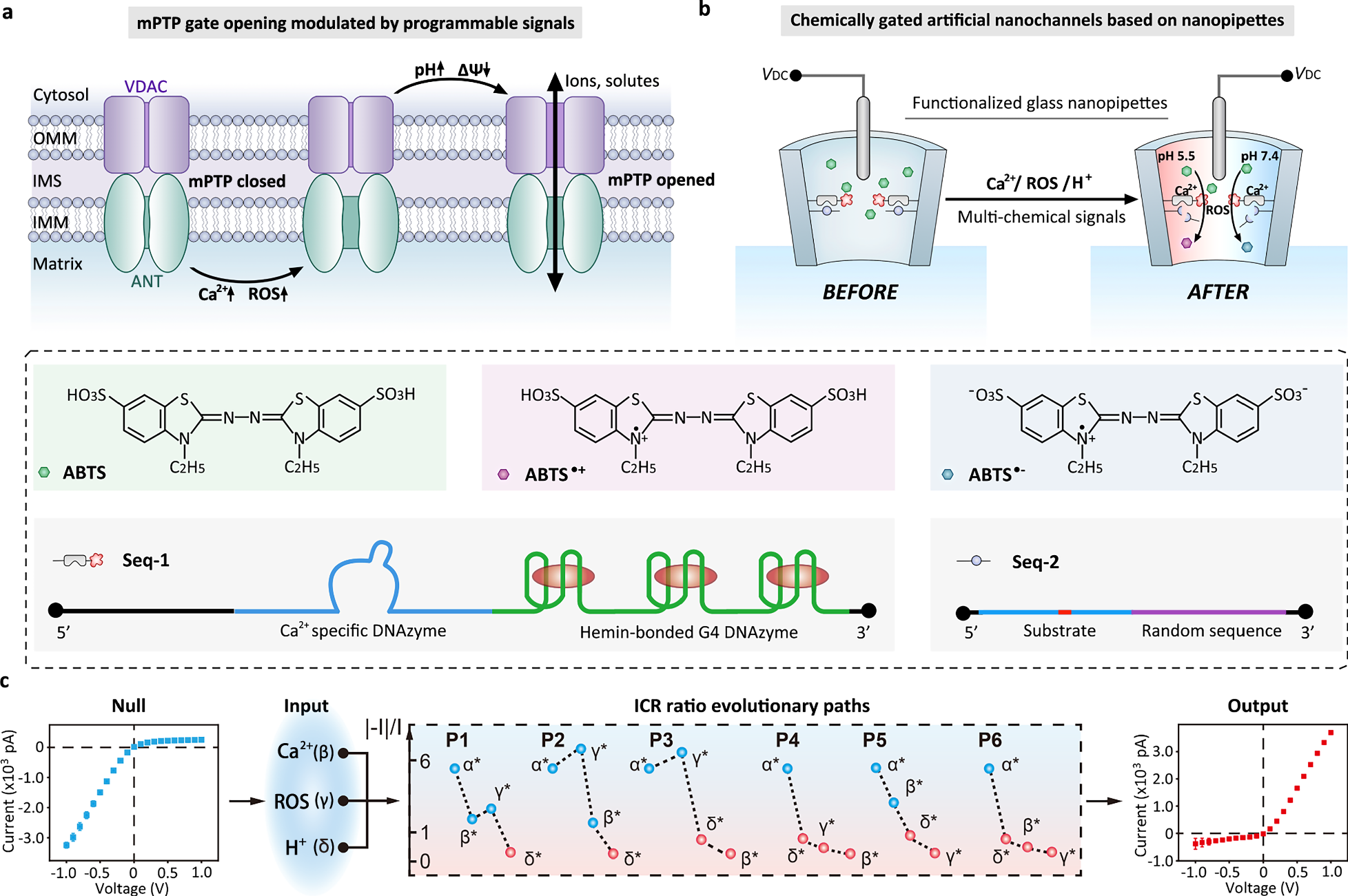 Fig. 1: Chemically gated artificial nanochannels for programmable modulated transport regulation.