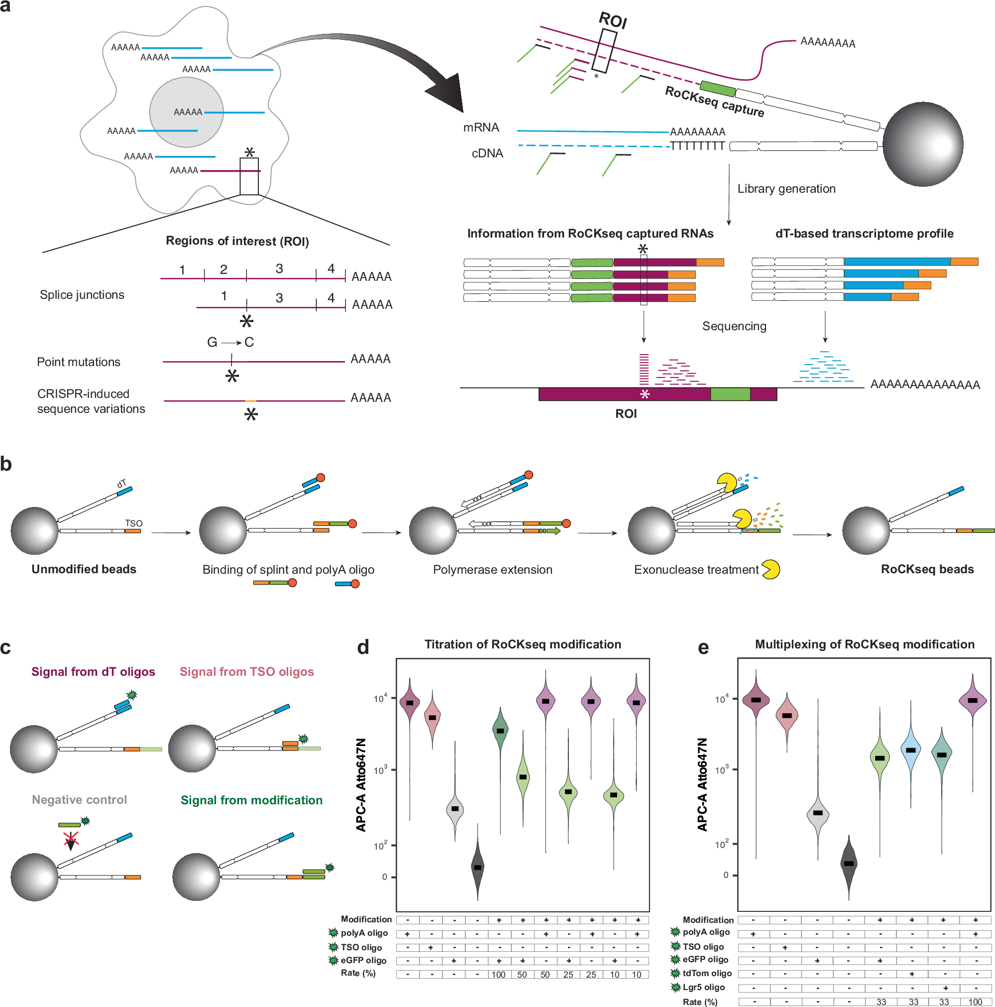 RoCK and ROI – single-cell transcriptomics with multiplexed enrichment ...
