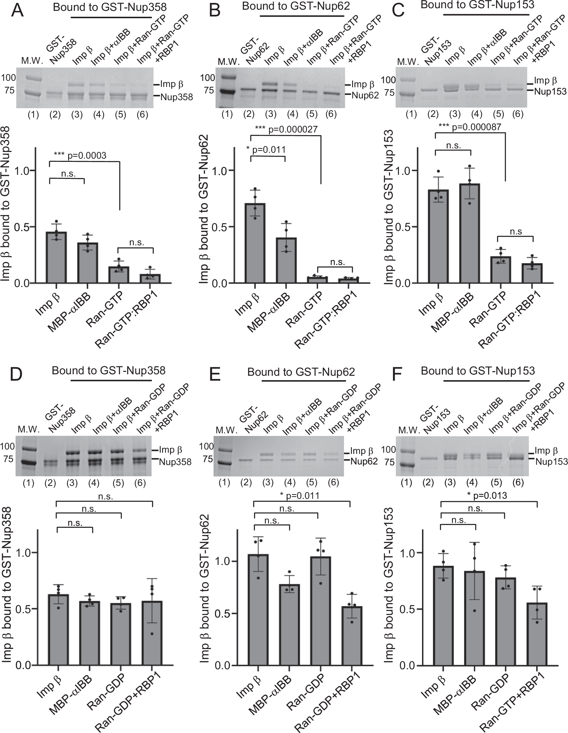 Fig. 9: Pull-down assay of importin β and FG-nups.