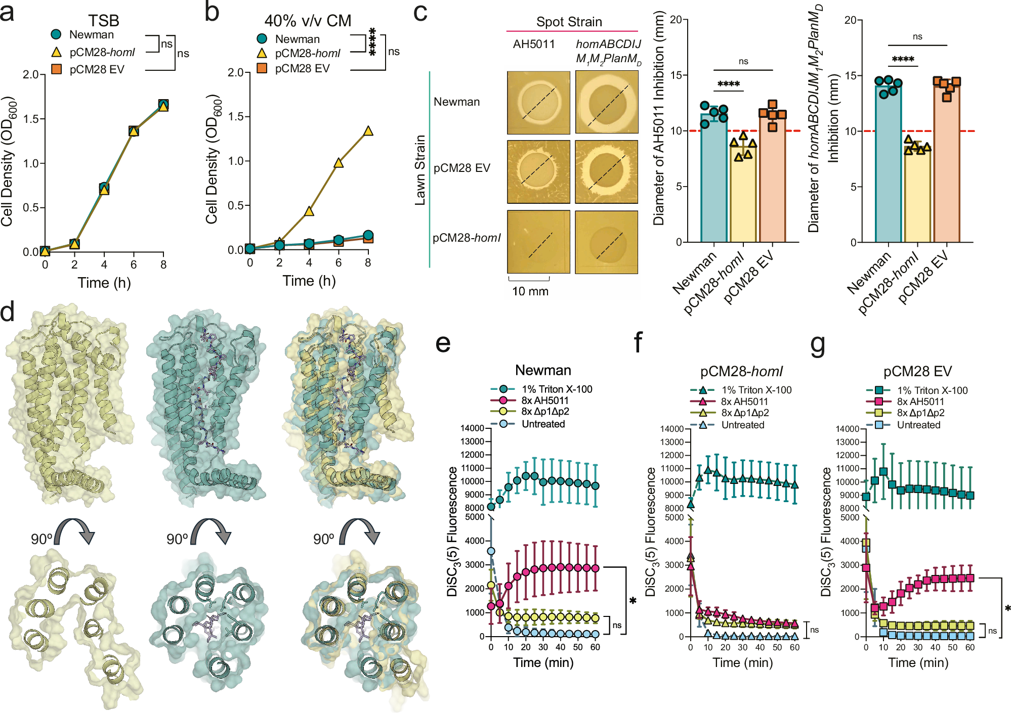 Fig. 6: HomI confers resistance to AH5011 hominicin.
