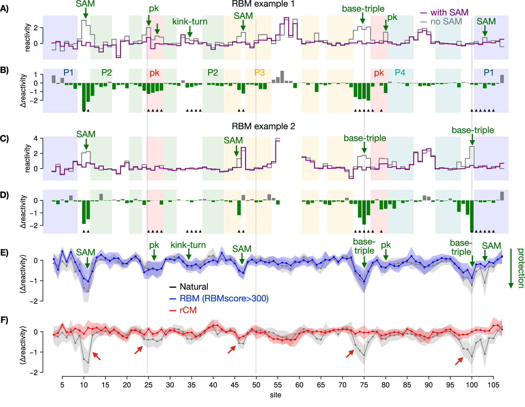 Fig. 6: Reactivity profiles of generated aptamers with chemical probing.