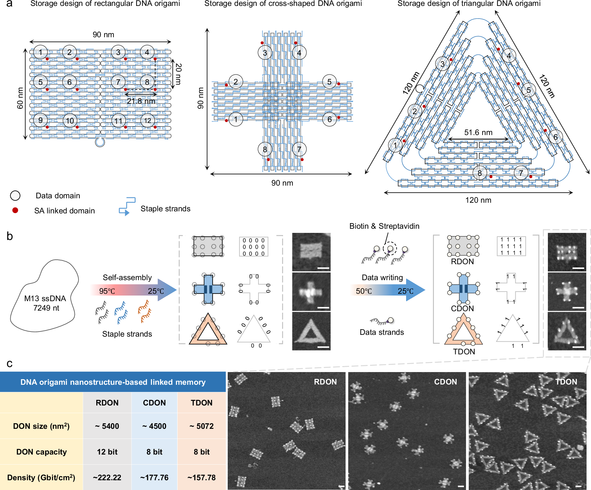 Fig. 2: DON-based design scheme for data storage.