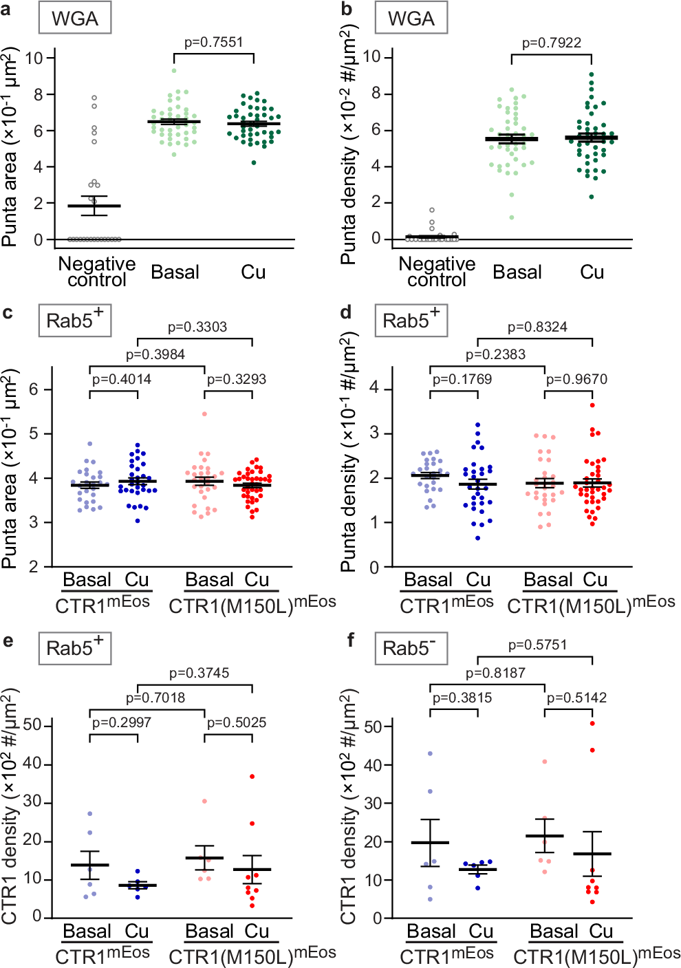 Fig. 4: Impact of Cu on global and Rab5-specific endocytosis.