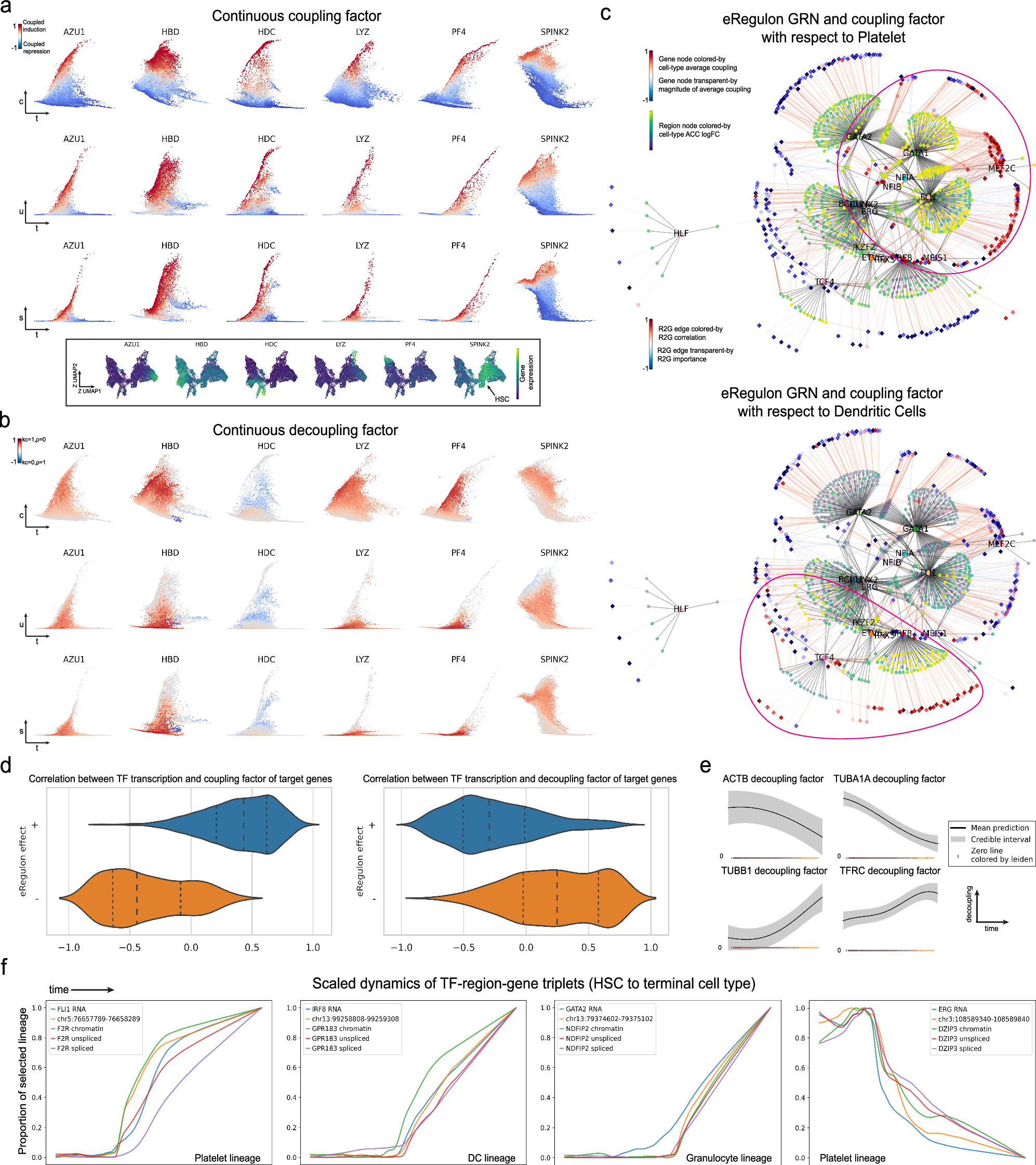 Fig. 5: MultiVeloVAE infers continuous coupling and decoupling factors in differentiating hematopoietic stem and progenitor cells.