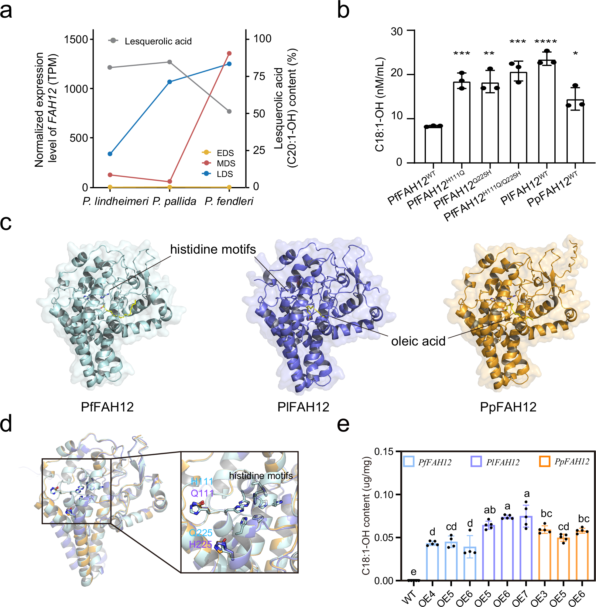 Fig. 6: The hydroxylase activity of three Physaria FAH12s.
