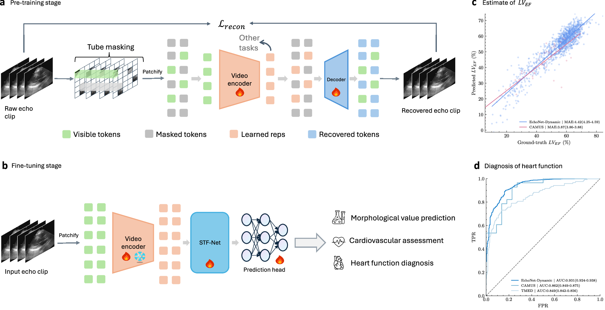 Echo-Vision-FM: a pre-training and fine-tuning framework for echocardiogram  video vision foundation model | Nature Communications