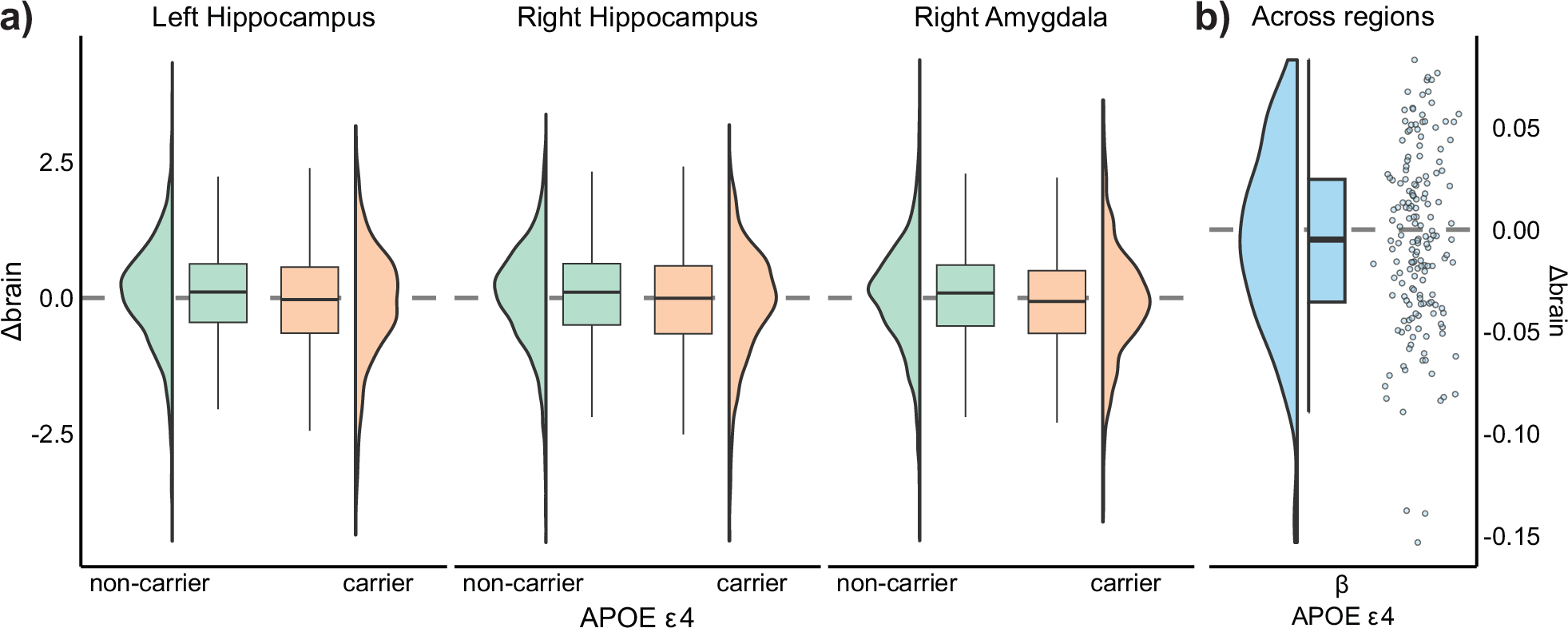 Fig. 5: APOE ε4 associations with brain change.