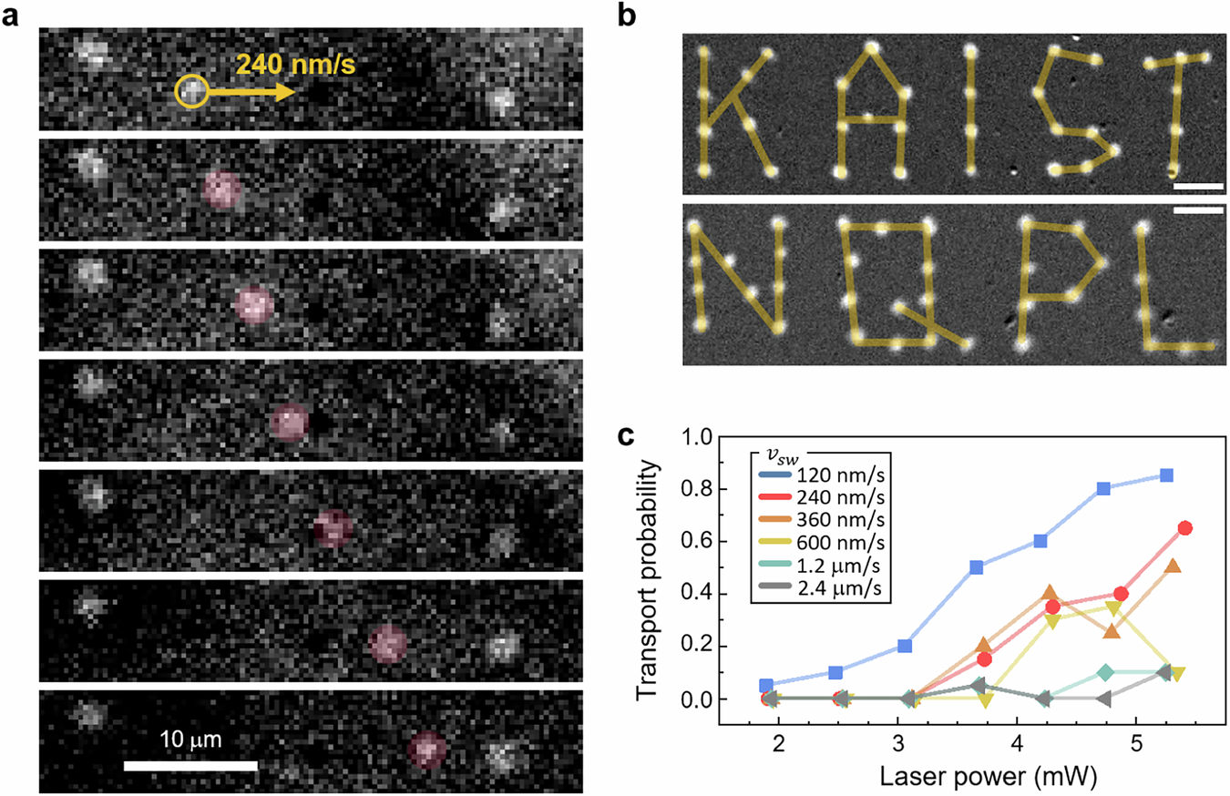 Fig. 2: Transport and arrangement of individual magnetic skyrmions using the photothermal tweezer.