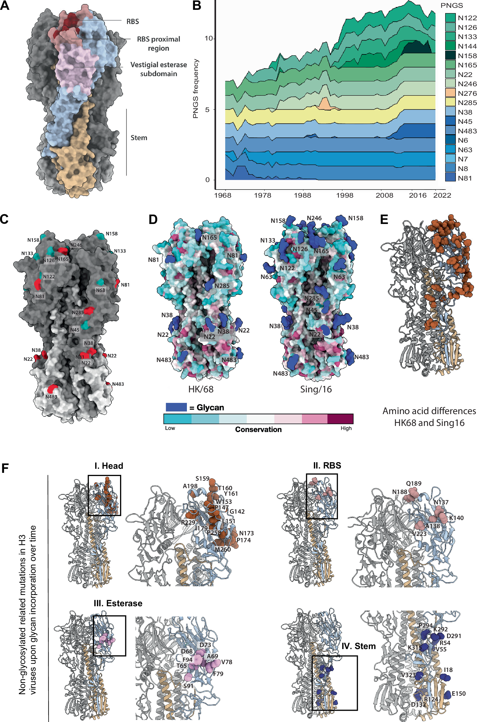 Fig. 1: Computational analysis of PNGS and non-glycosylation related mutations in H3 viruses over time.