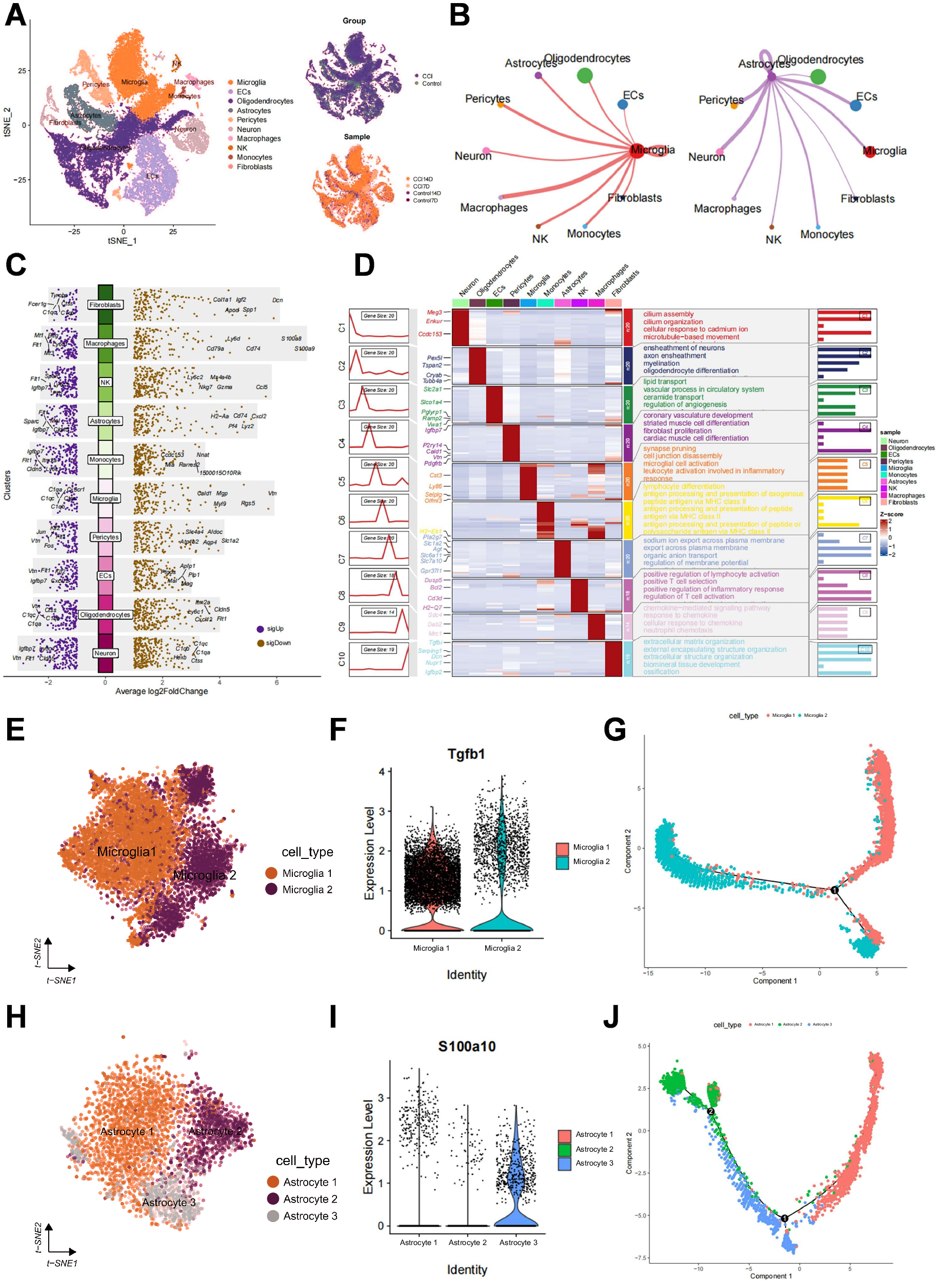 Fig. 1: Single-cell landscape analysis of CCI samples based on single-cell sequencing.