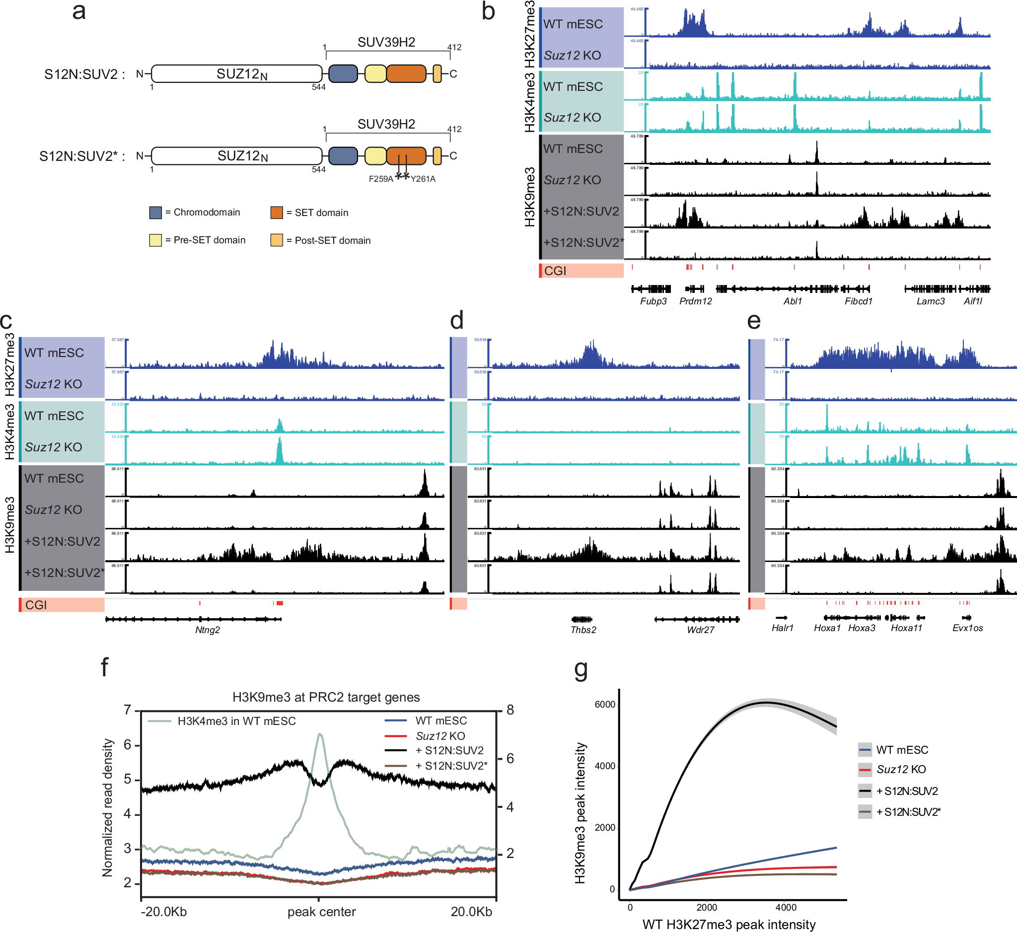 Fig. 4: Deposition of H3K9me3 at endogenous Polycomb target genes.